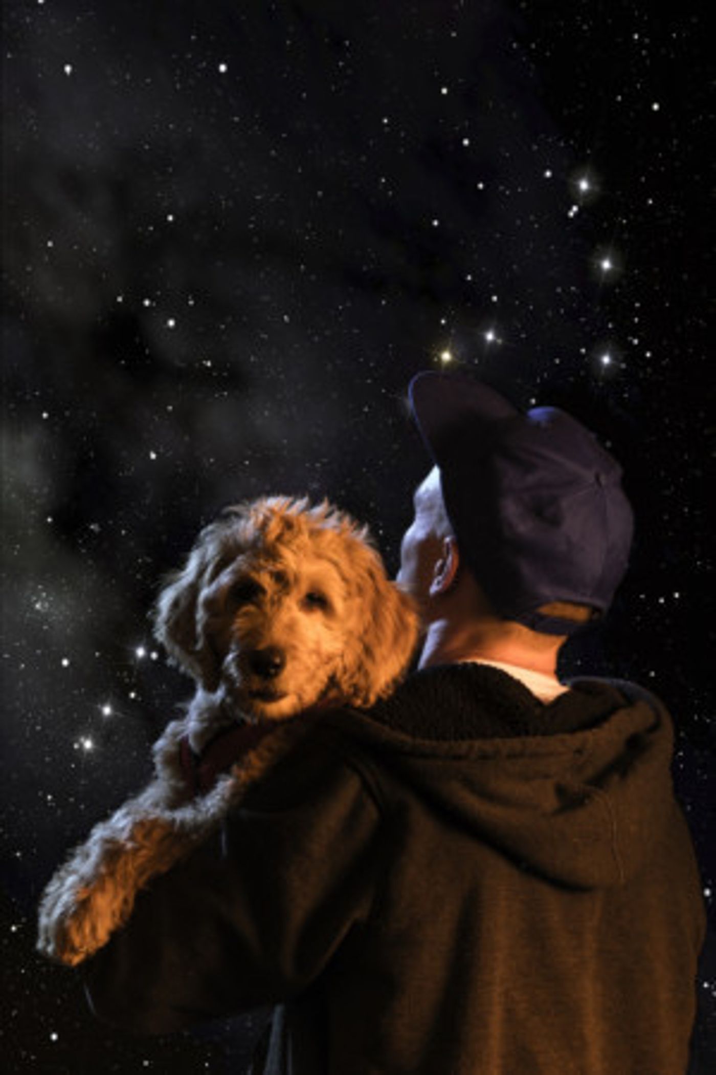 THE CURIOUS INCIDENT OF THE DOG IN THE NIGHT-TIME Comes to Portland Actors Conservatory  Image