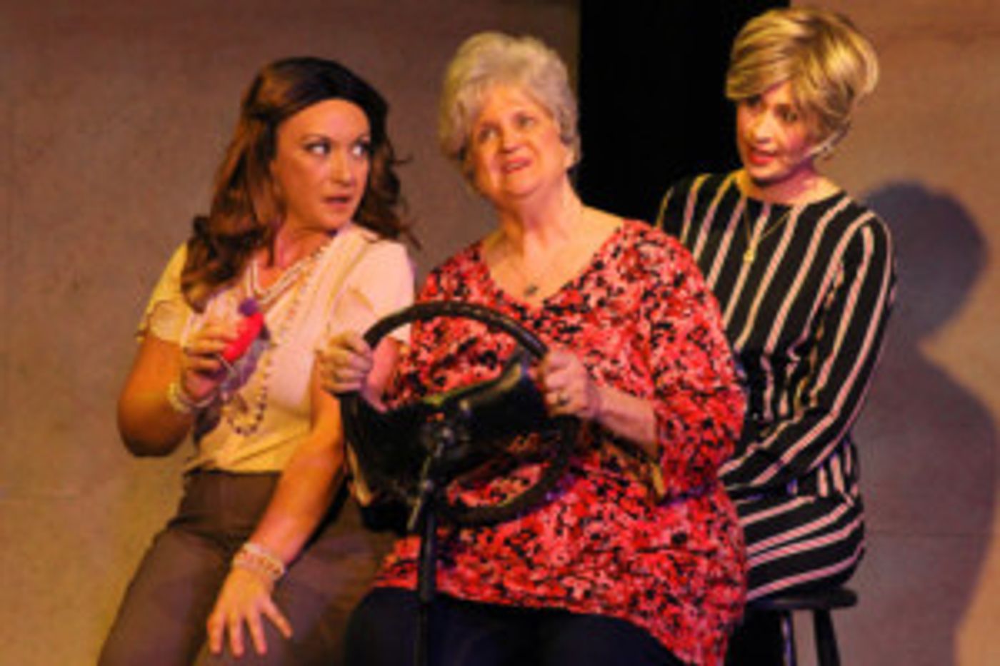 The Off Broadway Palm Presents MAMA WON'T FLY  Image