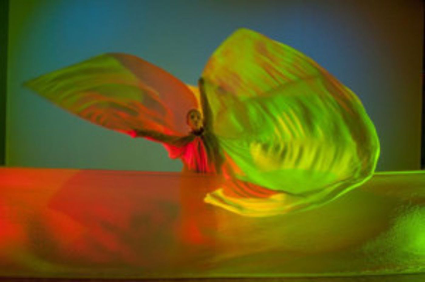 Jody Sperling/Time Lapse Dance Presents MELTING ICE-CHANGING WINDS  Image