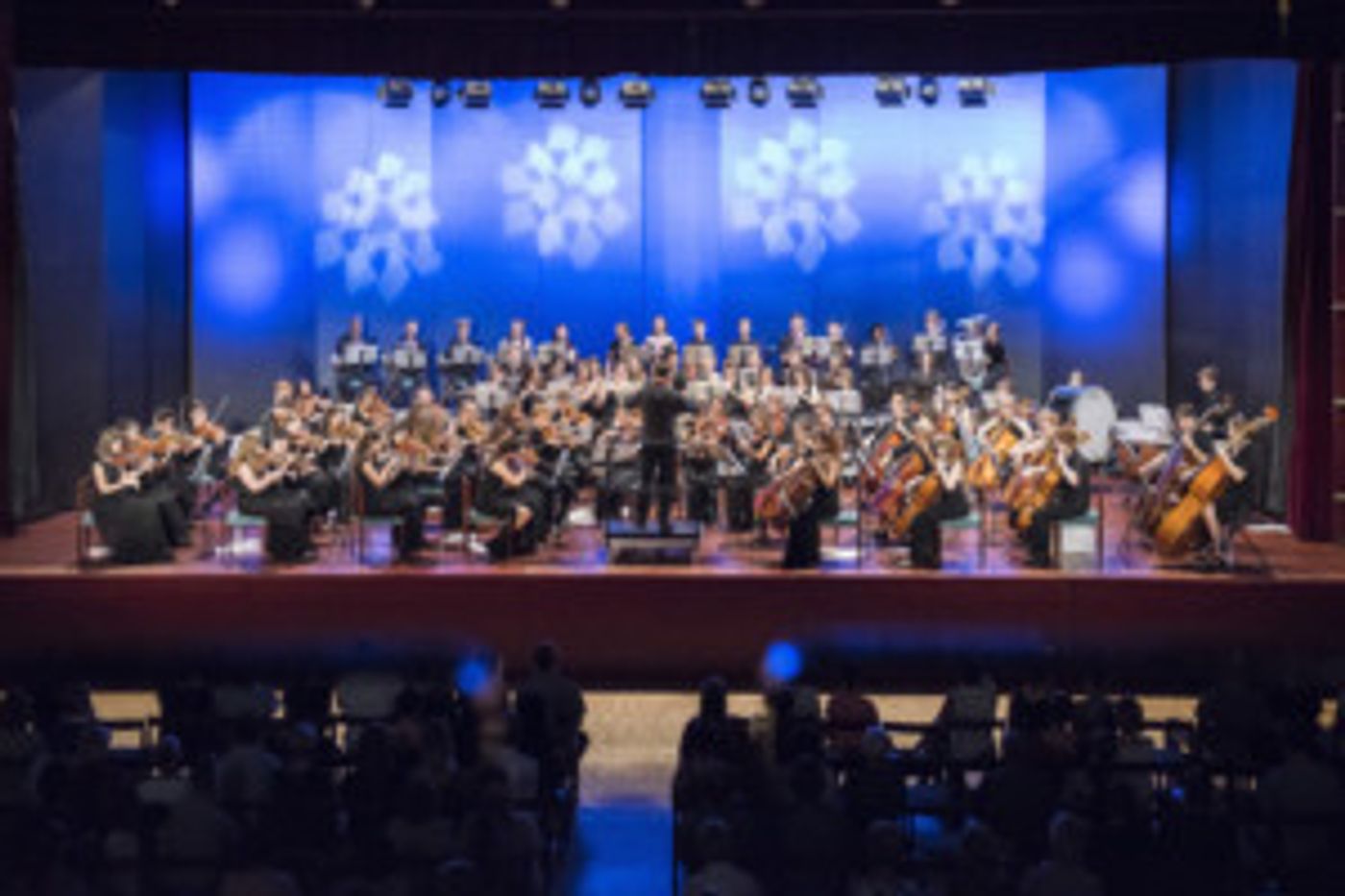 Stoneleigh Youth Orchestra Comes to Cadogan Hall  Image