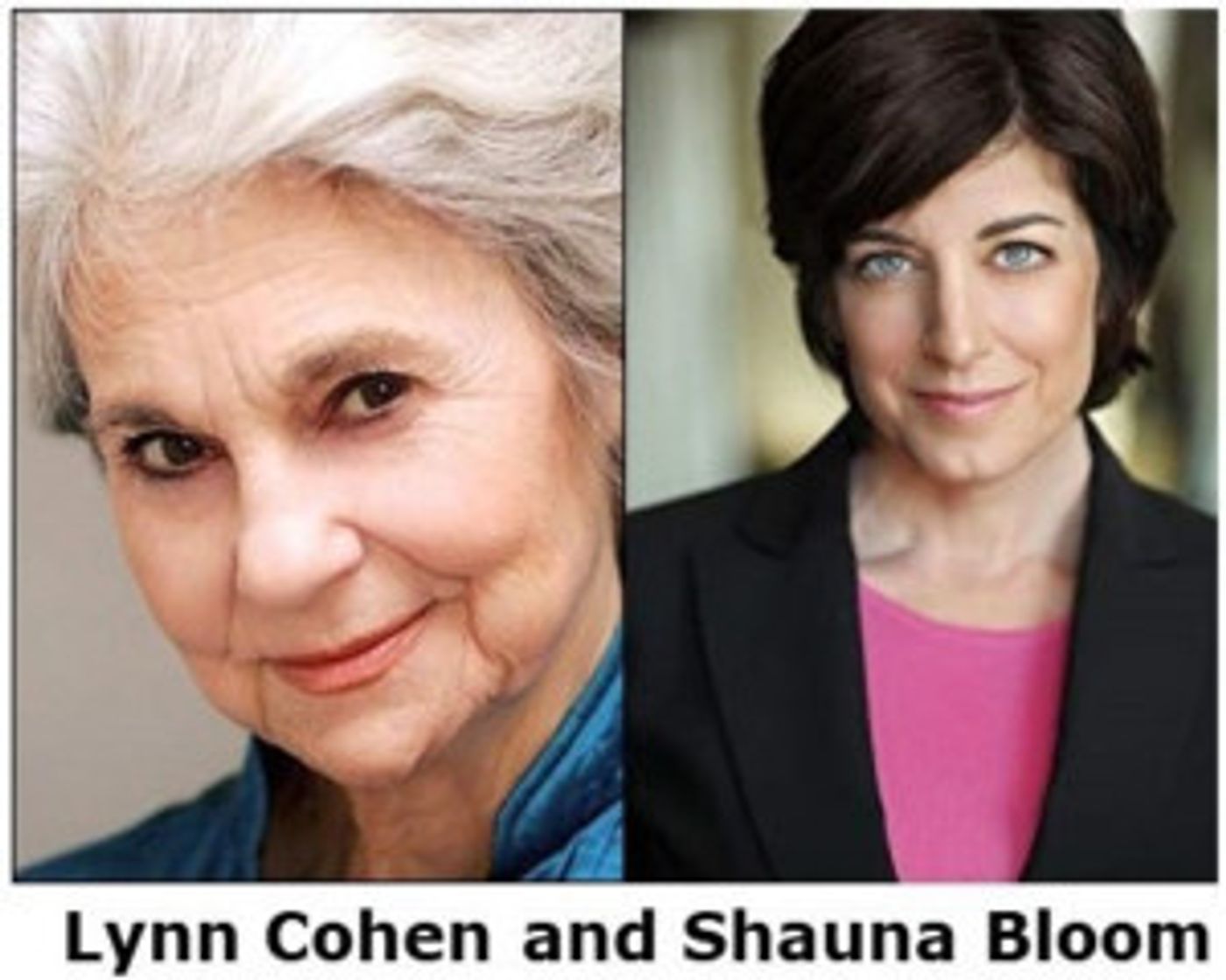 Lynn Cohen And Shauna Bloom Cast In Reading Of WHY BIRDS FLY At Dramatist Guild  Image