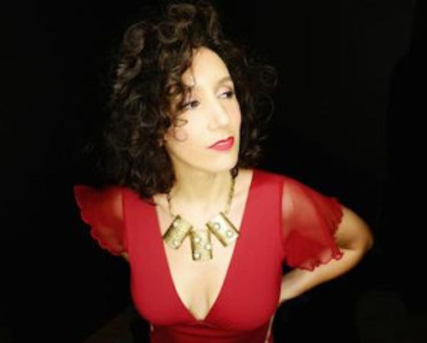Gabrielle Stravelli Celebrates Willie Nelson Tribute CD Release At Birdland  Image