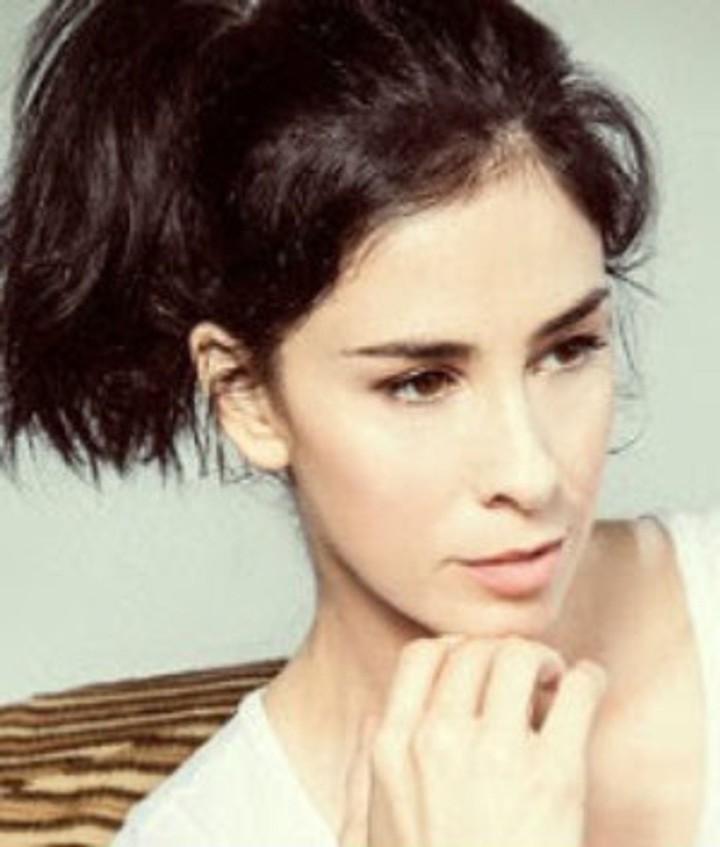 The Wallis And Mark Cortale Present Sarah Silverman And Seth Rudetsky  Image