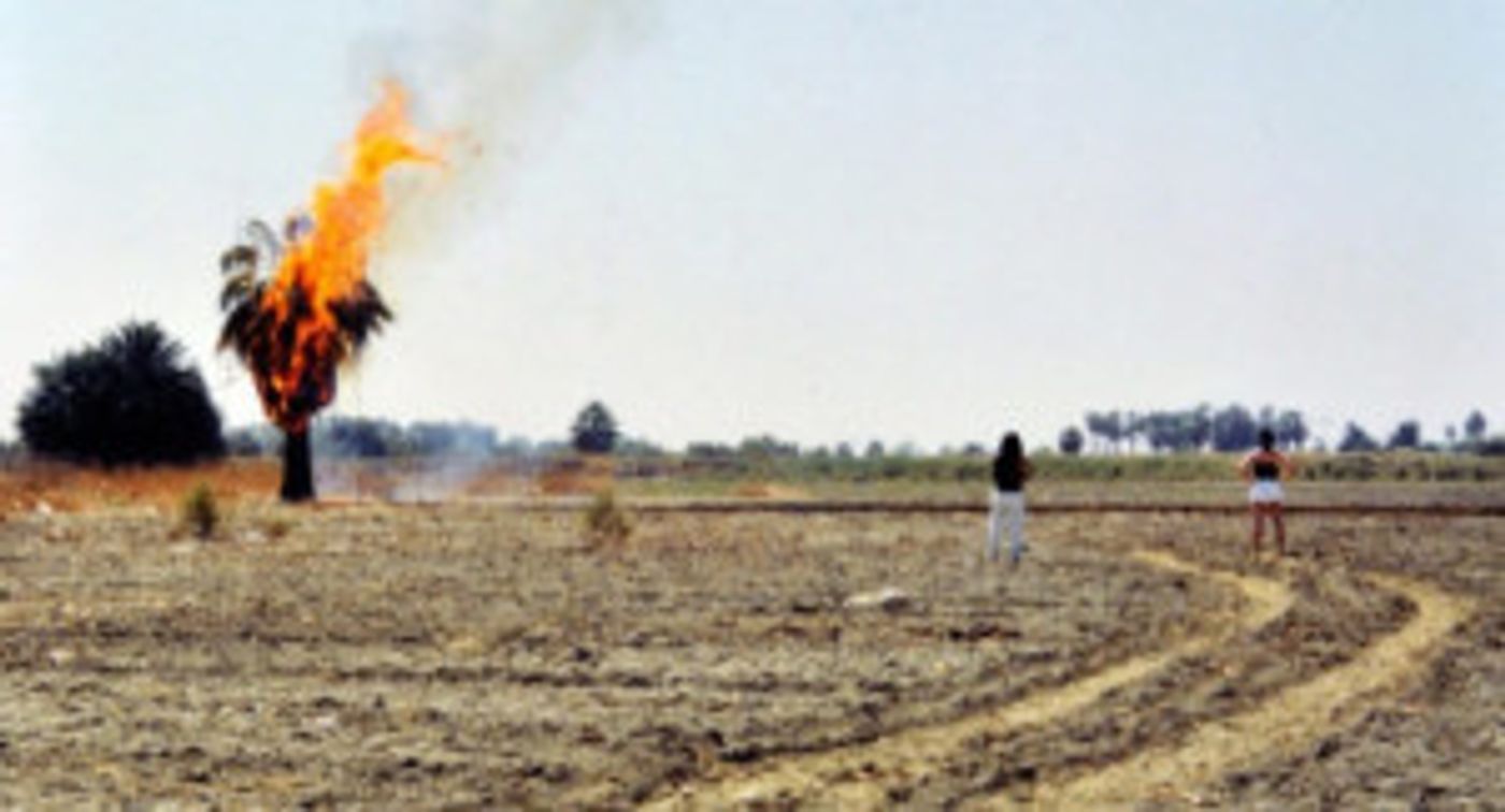 Nina Menkes' QUEEN OF DIAMONDS, Gets New Restoration At BAM  Image