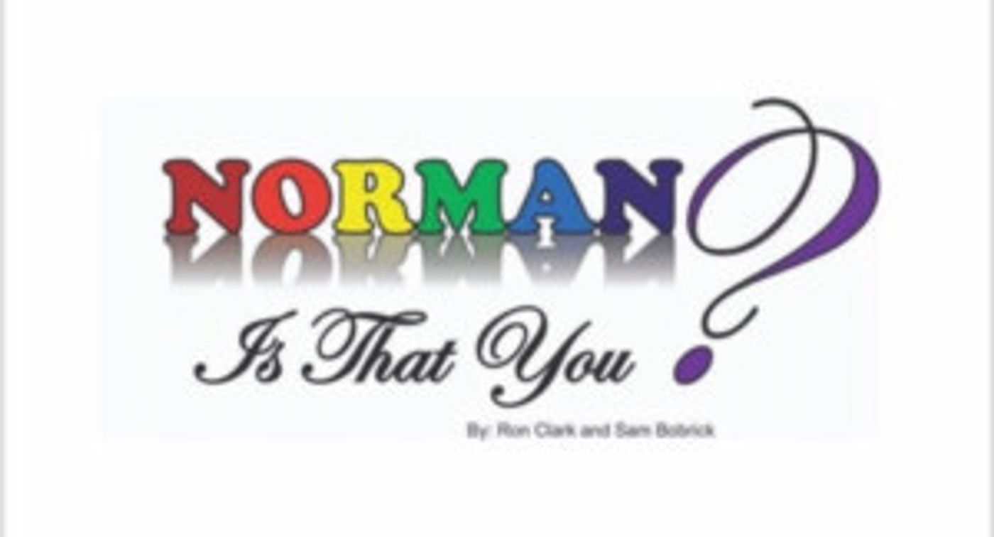 The Theatre Company of Rhode Island Presents NORMAN, IS THAT YOU?  Image