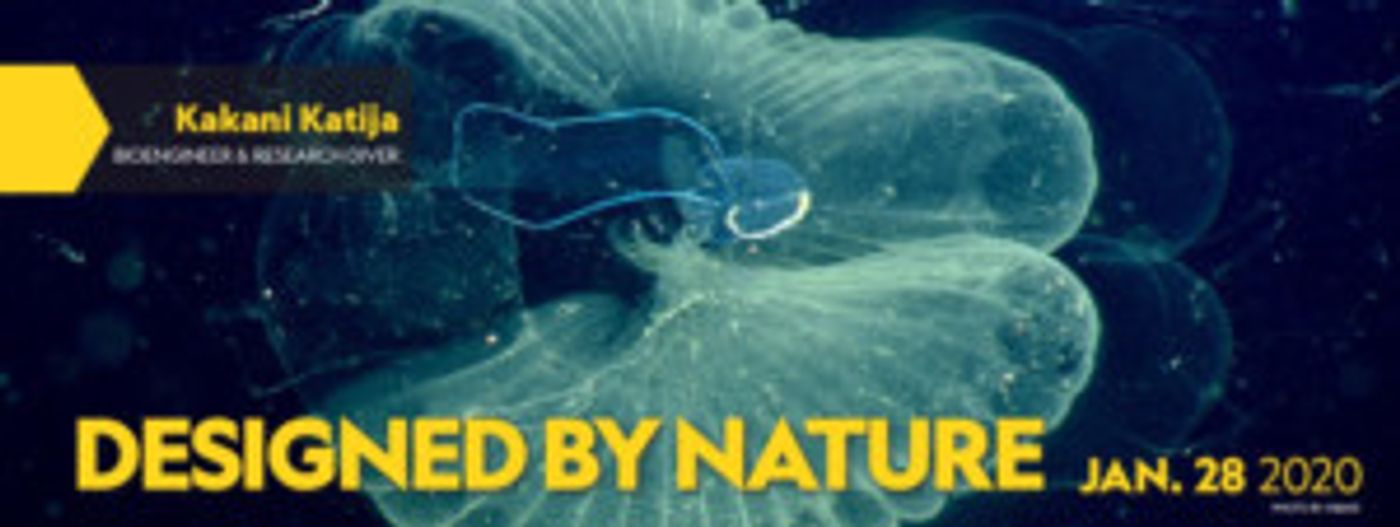 Blumenthal Performing Arts Announces 2019-20 National Geographic Live Series  Image