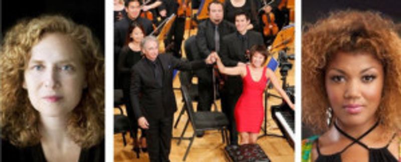 Michael Tilson Thomas To Bring New World Symphony To Carnegie Hall Image