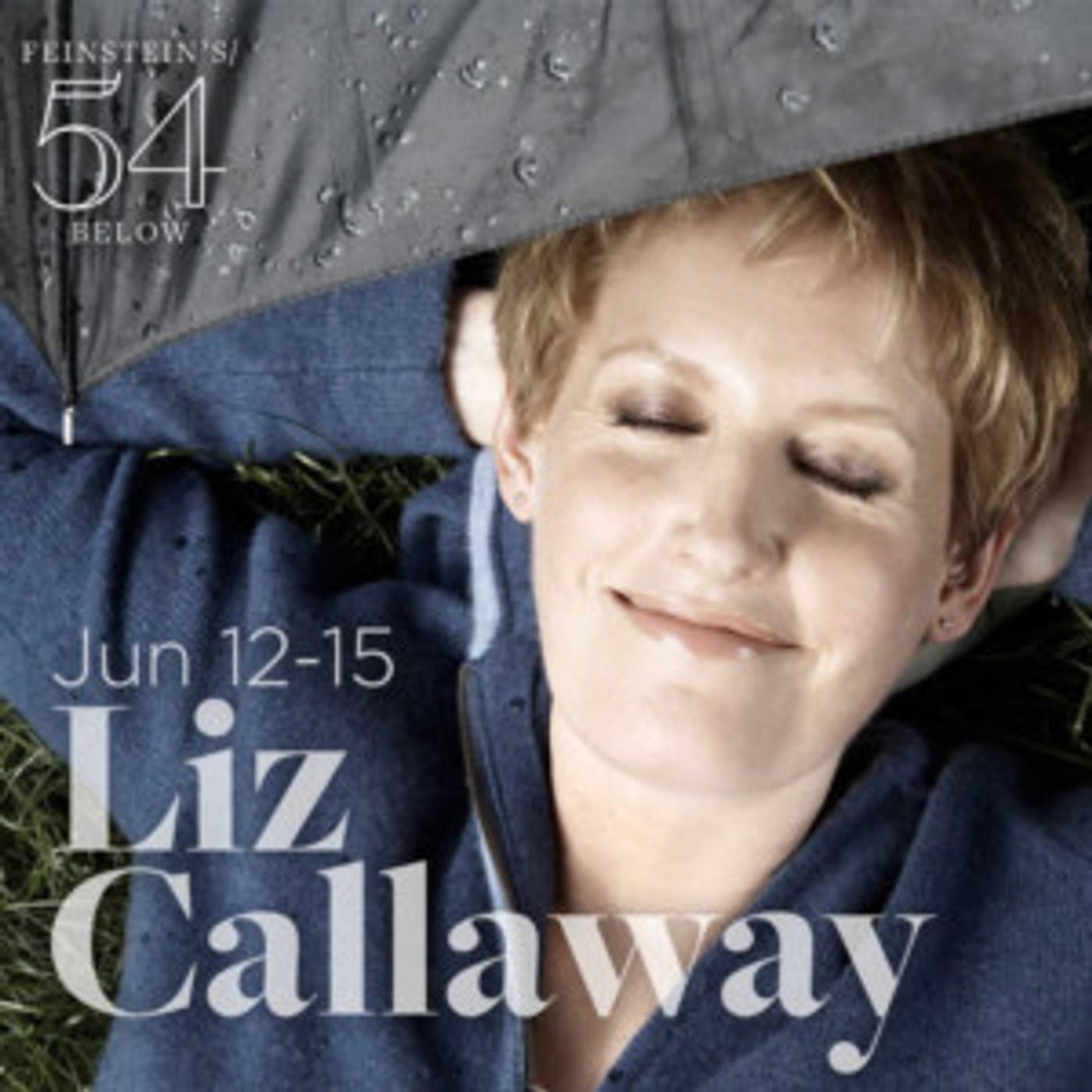 Liz Callaway Returns To Feinstein's/54 Below With A New Show This Summer  Image