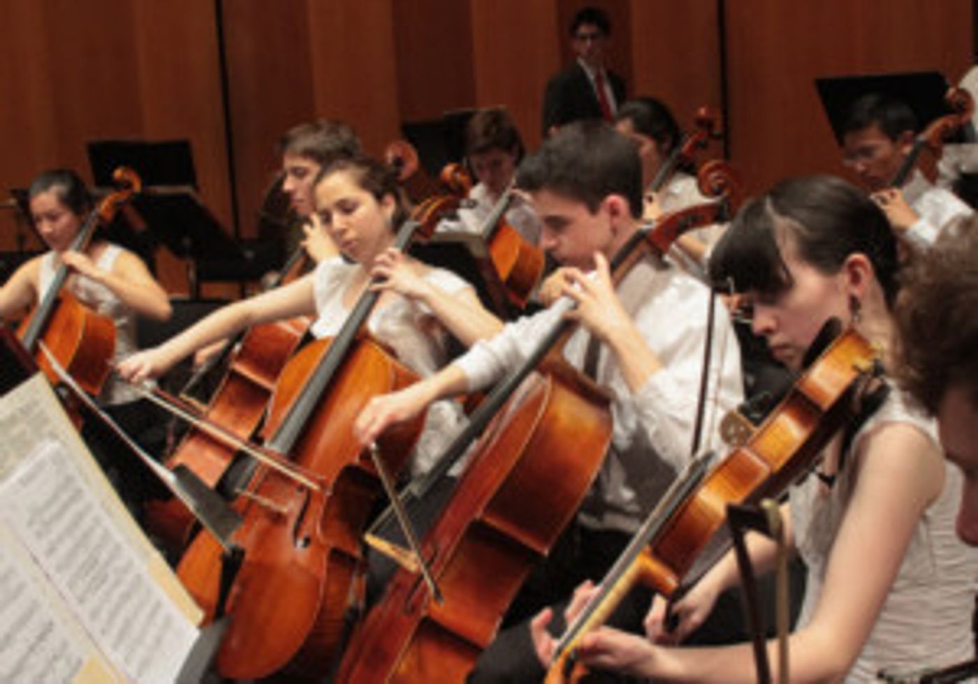 Hoff-Barthelson Music School's Festival Orchestra Holds Auditions For 2019-20 Season  Image