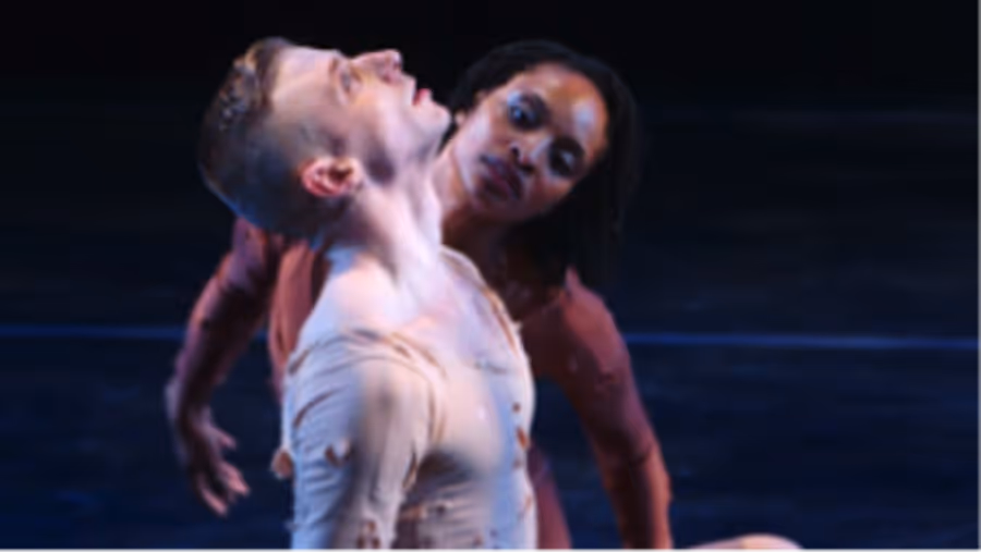 IF THE DANCER DANCES Opens In NYC And LA This Spring Image