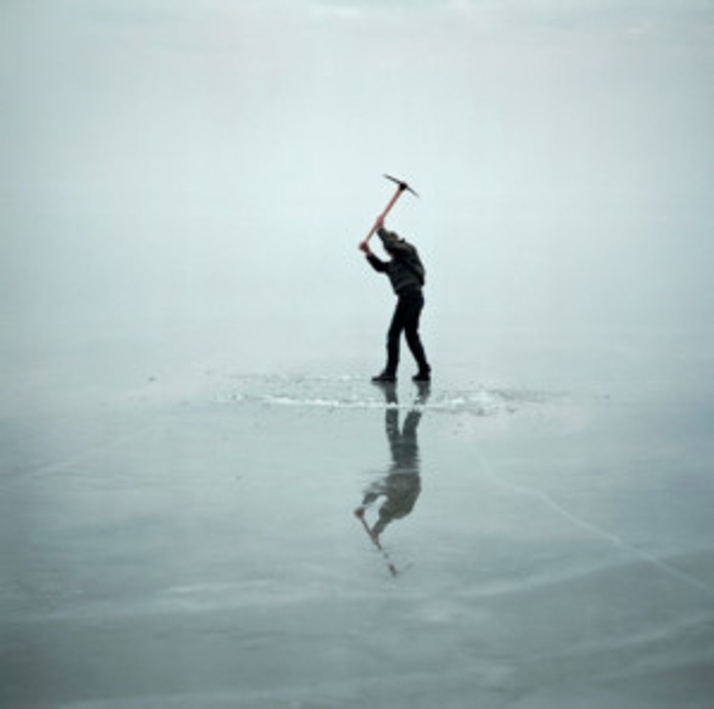 'The World To Come: Art In The Age Of The Anthropocene' Opening At U-M Museum Of Art  Image