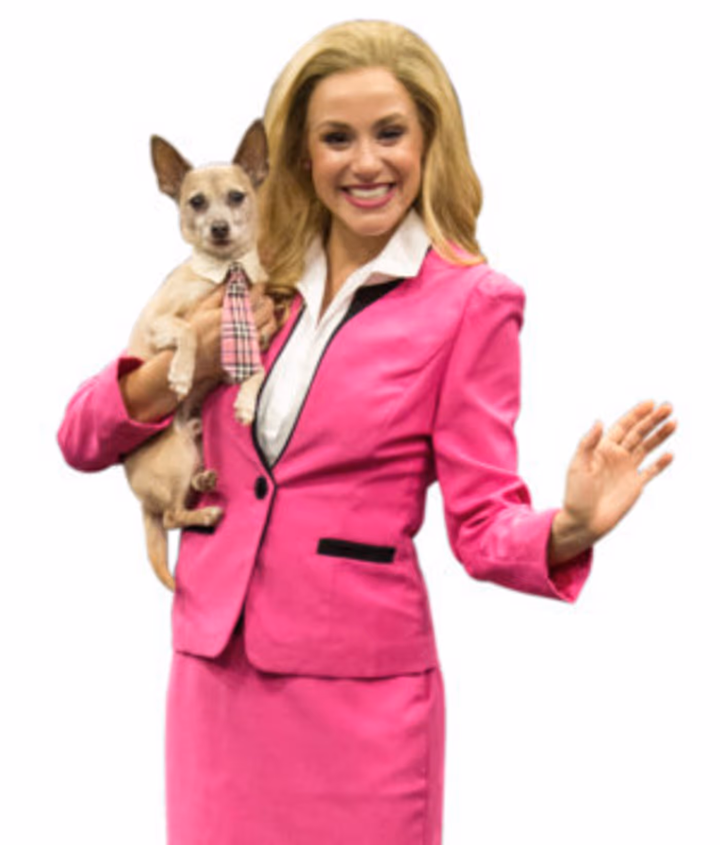 Walnut Concludes 210th Season With Broadway Hit LEGALLY BLONDE: THE MUSICAL  Image