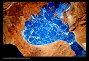 PB Photo Centre To Present SPACE ODYSSEY 2019 With Astronaut Scott Kelly  Image