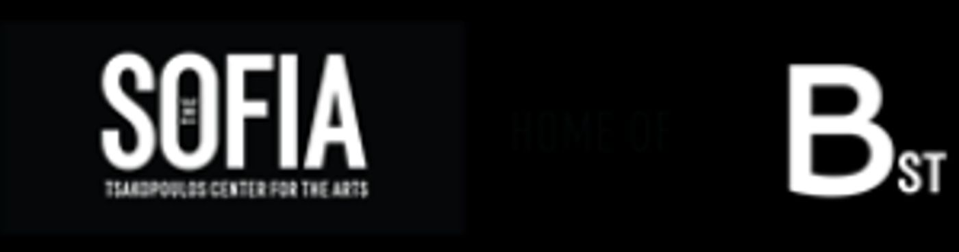 B Street Theatre Presents THE FOREVER QUESTION  Image