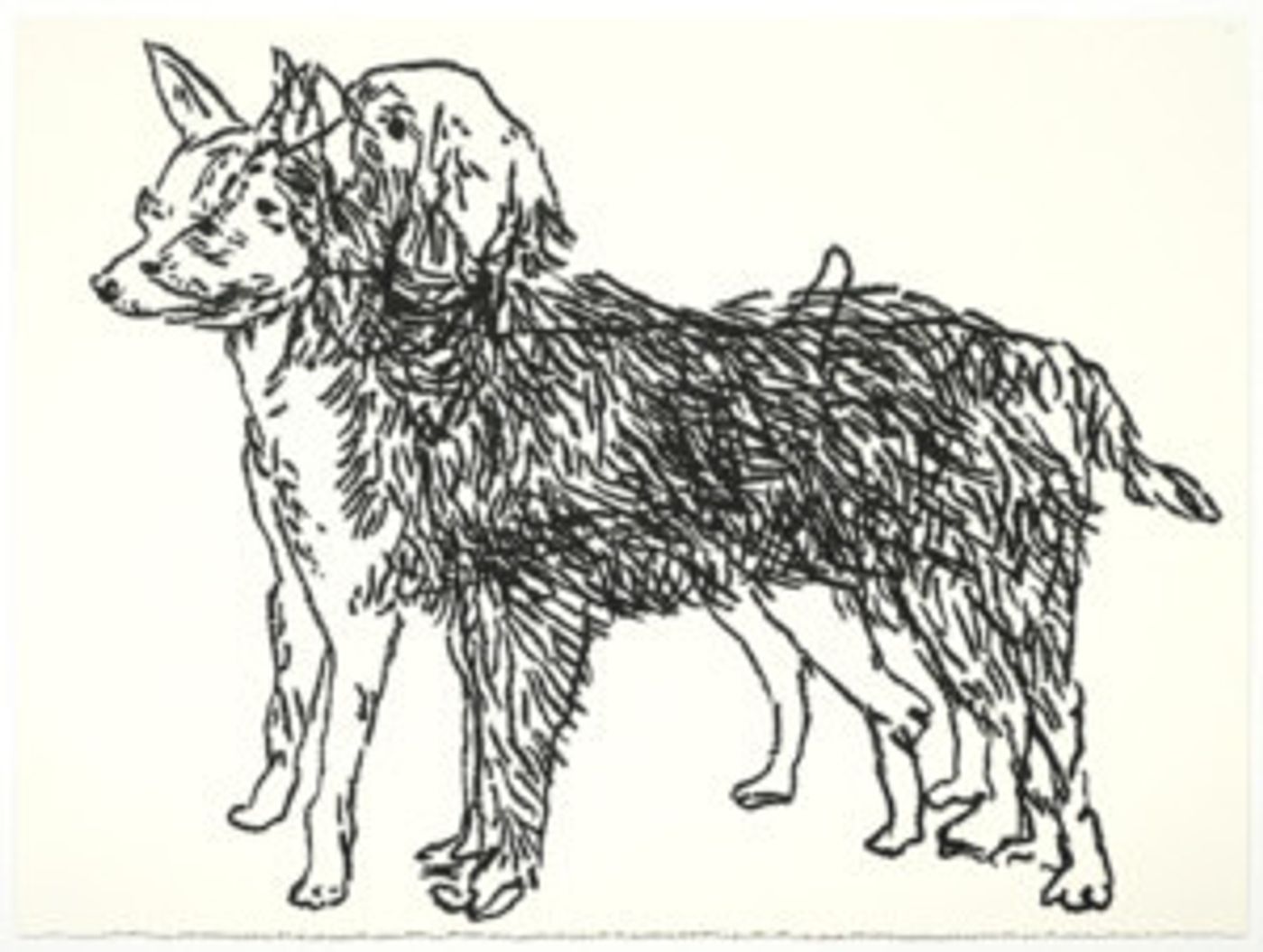 Ryan Mrozowski: FALSE TOPIARY Opens May 11  Image