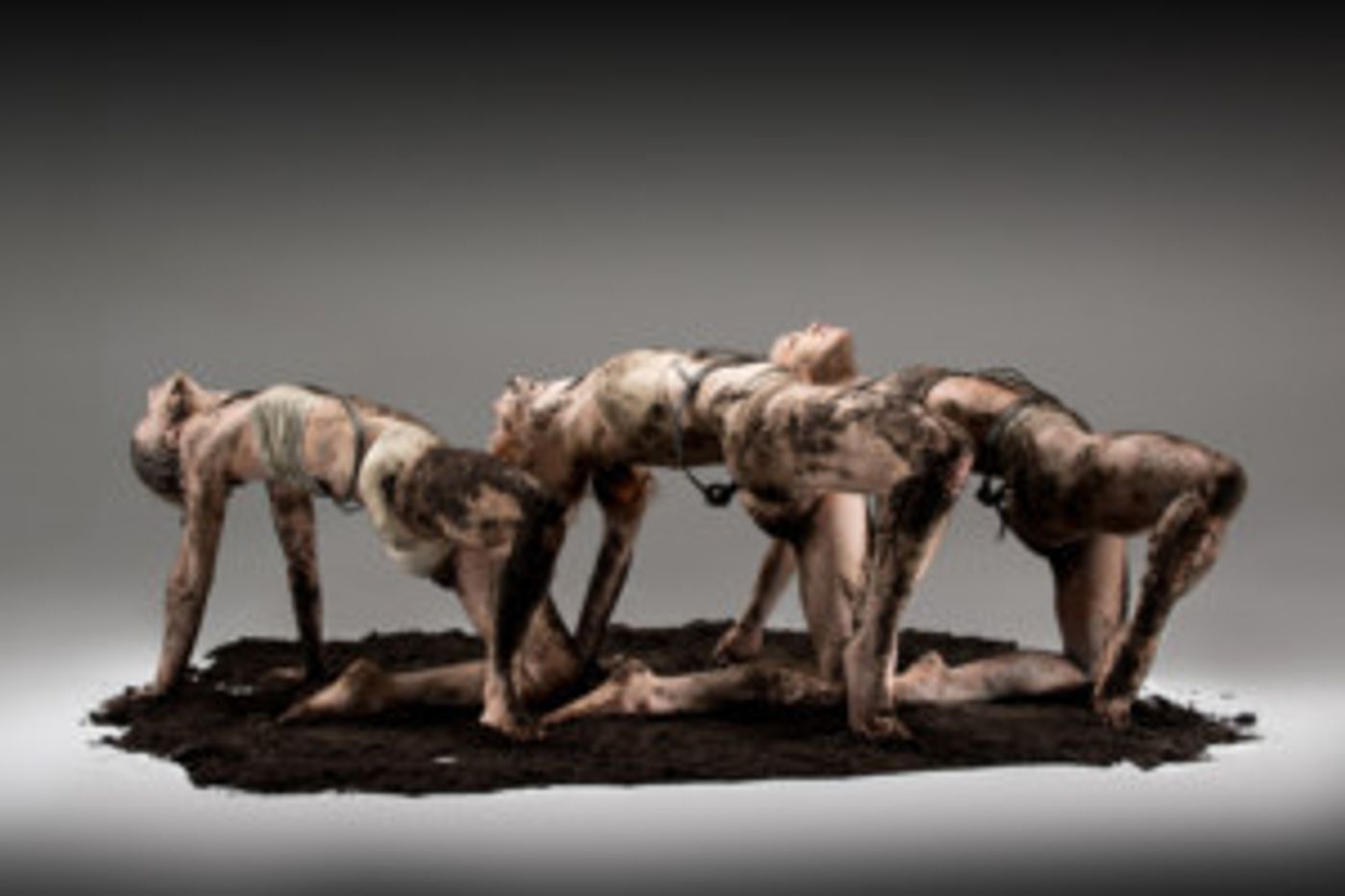 The Second Of Five Eryc Taylor Dance EARTH Workshops Comes to Martha Graham Studio Theater  Image
