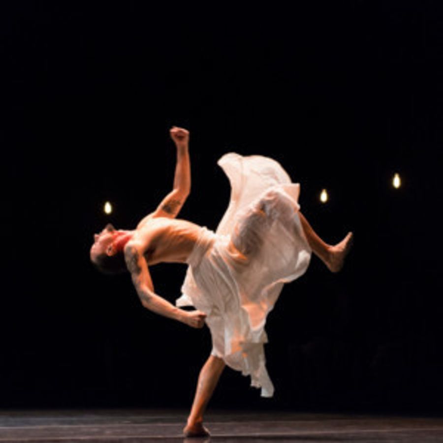 DanceHouse Announces Electrifying 2019/20 Season  Image