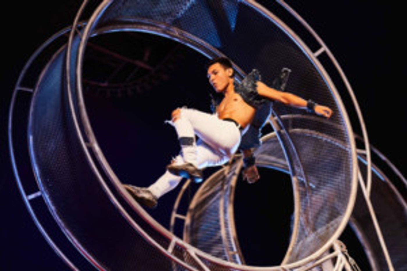 ZIRK! Previews Now On Sale At Very Special Prices  Image