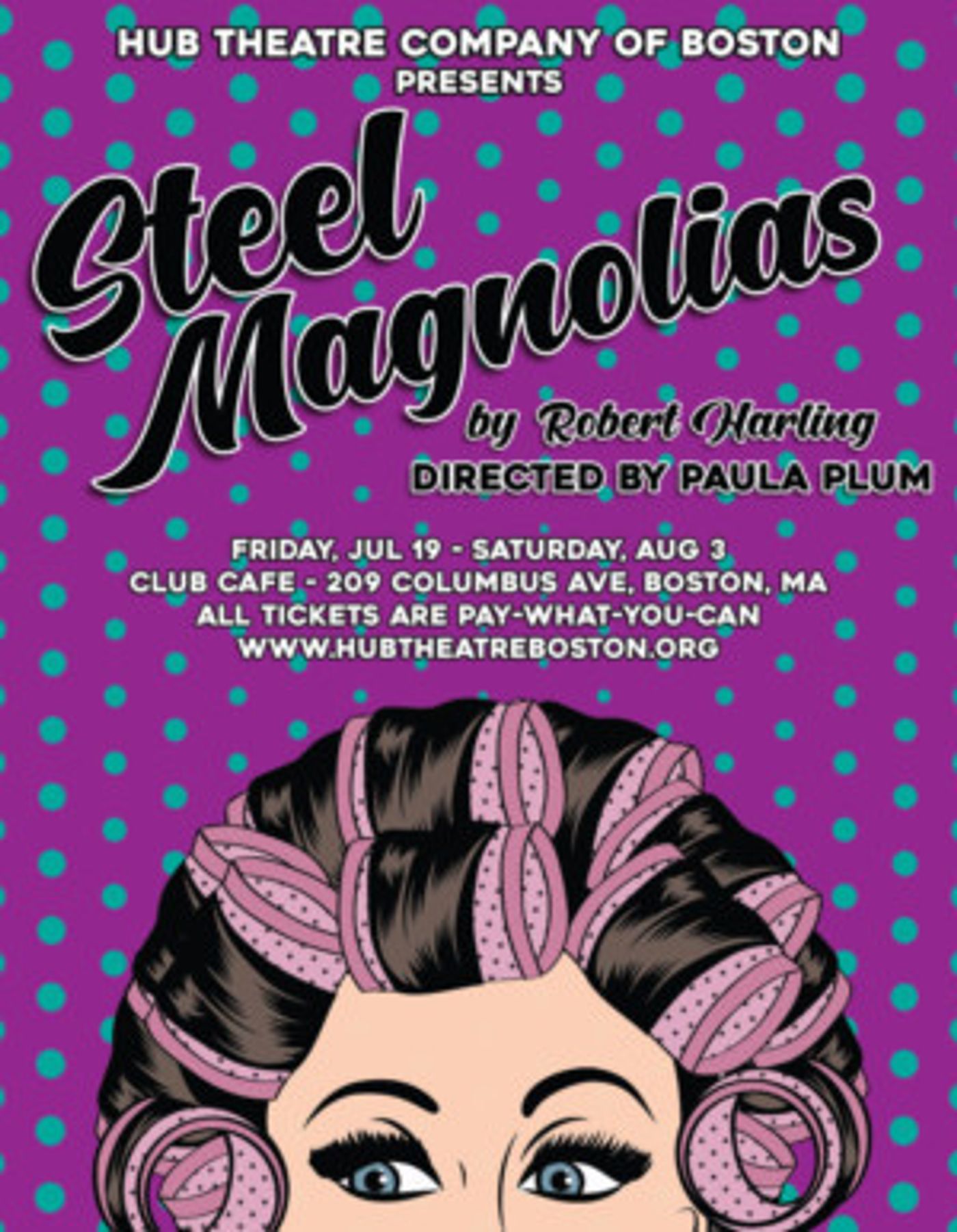 Paula Plum Directs STEEL MAGNOLIAS With Hub Theatre Company Of Boston  Image