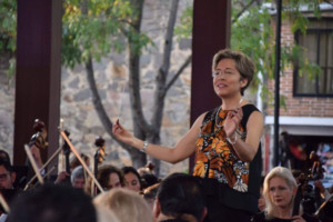 Gabriela Díaz Alatriste, Directora Huésped De La Orquesta De Cámara De Bellas Artes, Interpretará Música De Dos Compositoras  Image