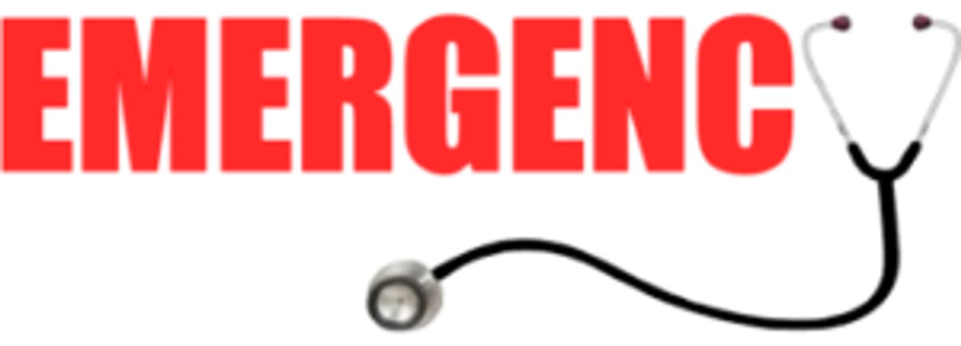 Cast Announced for EMERGENCY - A Modern-Day Medical Musical At Hudson Guild Theater  Image