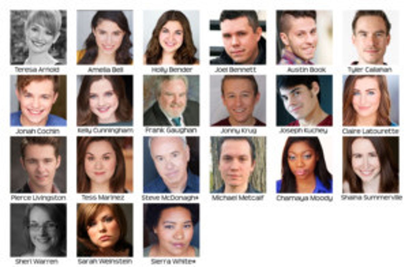 Williams Street Repertory Announces Casting For ALL SHOOK UP  Image