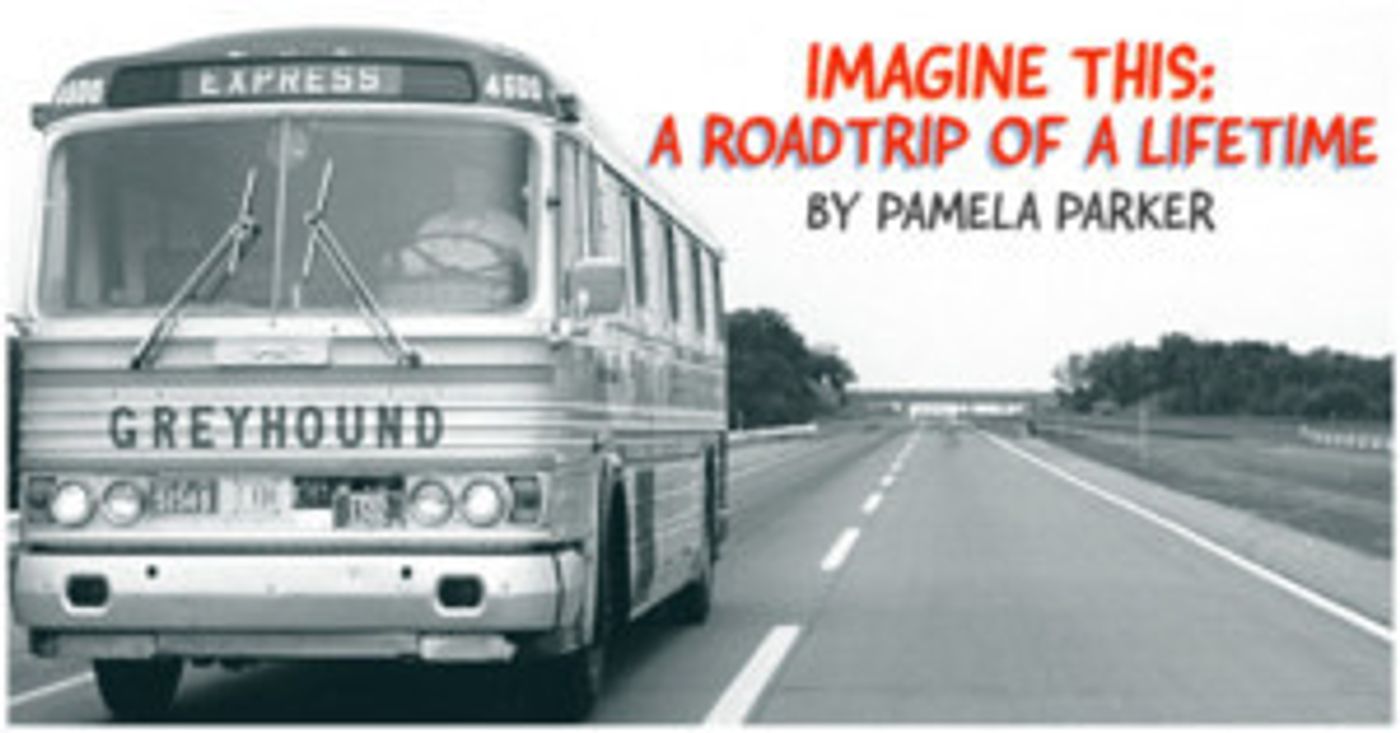 Pamela Parker's IMAGINE THIS Performed As A Staged Reading At Center For Performing Arts Bonita Springs  Image