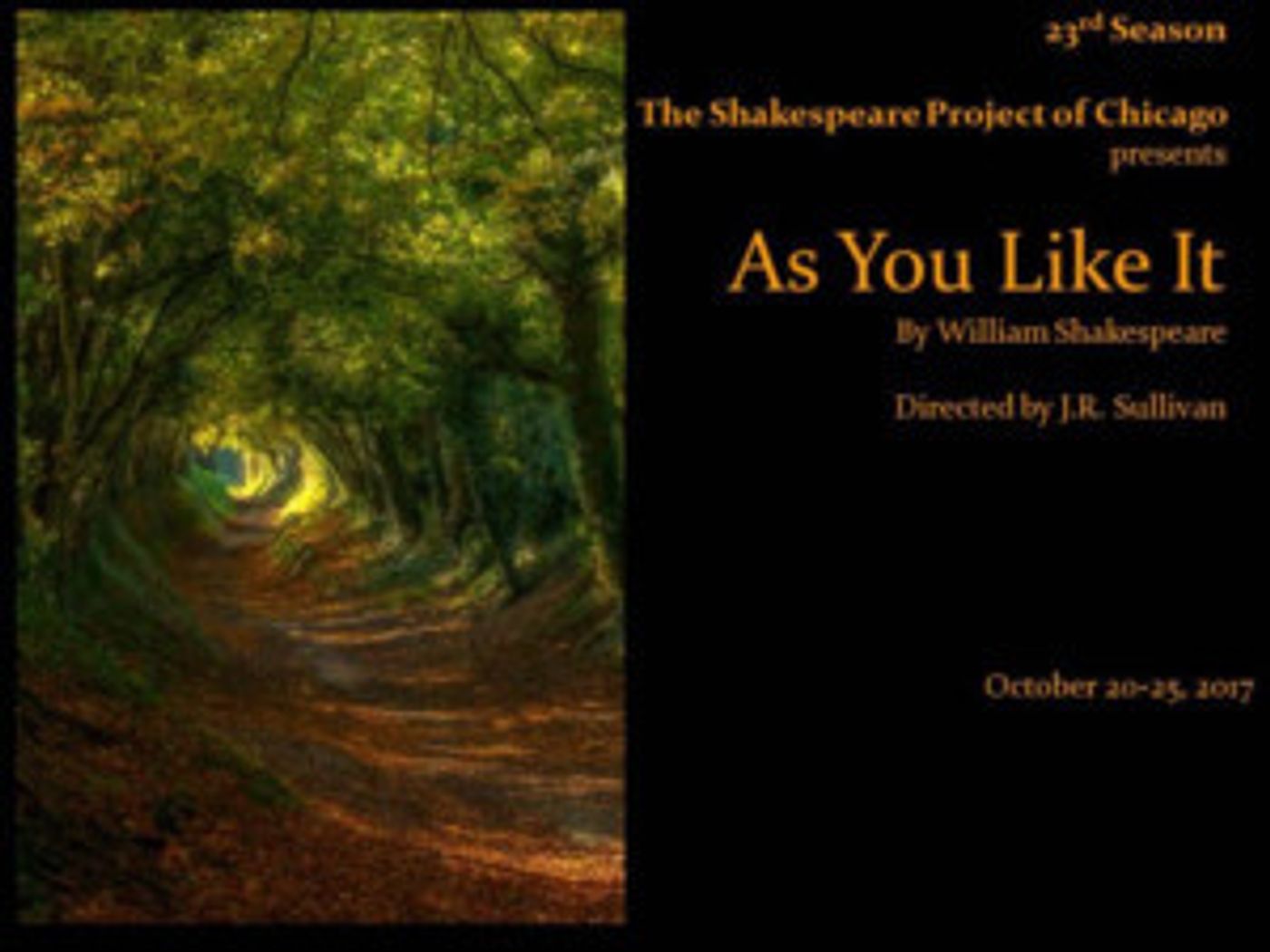 The Shakespeare Project of Chicago to Present Free Readings of AS YOU LIKE IT Image