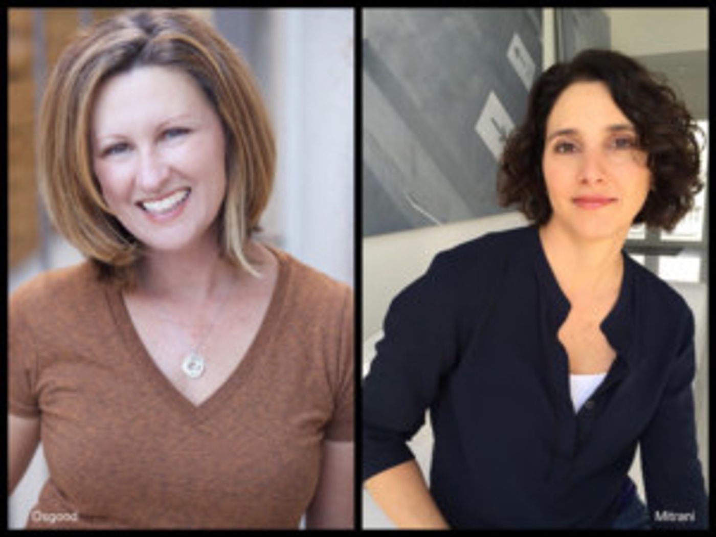 L.A. Children's Theatre Imagine Project Expands Board  Image