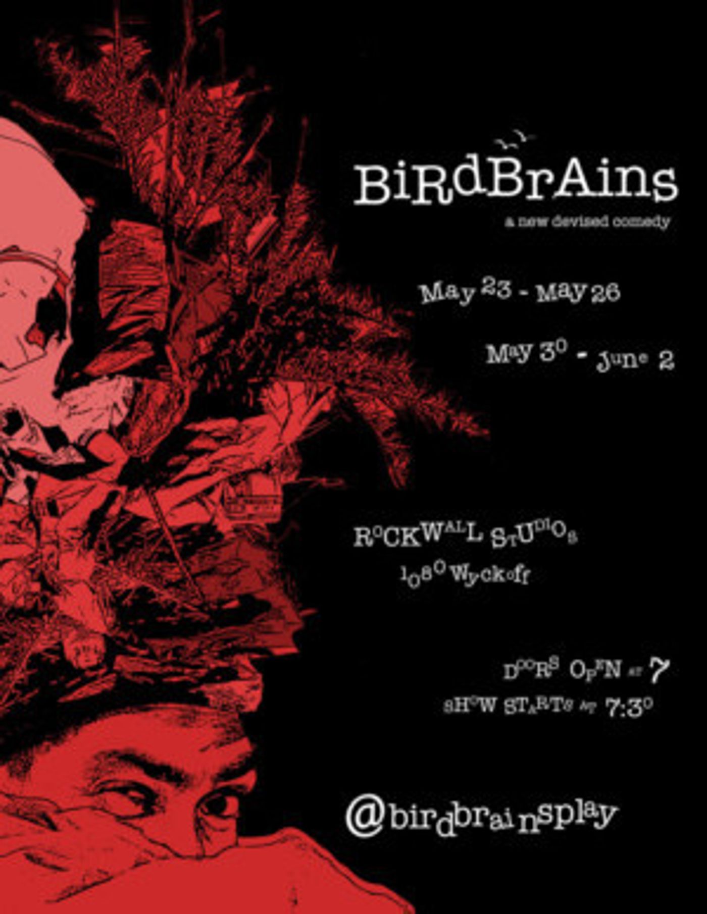 Tongue Honey Presents BiRDBRAiNS: A New Devised Bouffon Show  Image