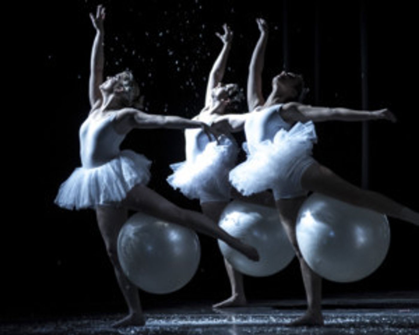 CONNetic Dance's 'NUTCRACKER SUITE & SPICY' to Add More Spice to the Season in Hartford  Image