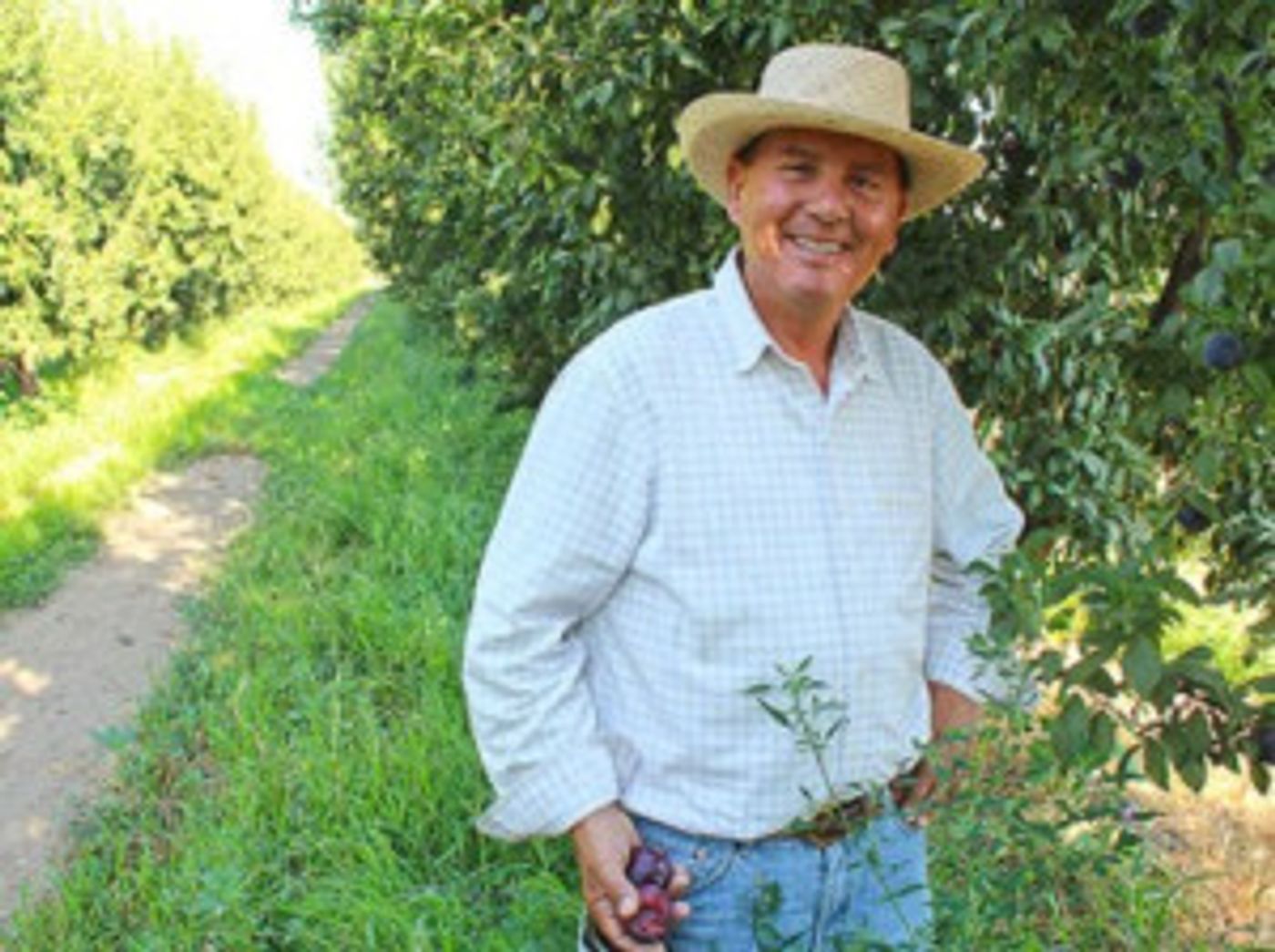 New Ag-docuseries BEYOND THE HARVEST Highlights Family Legacies Of CA's Central Valley  Image