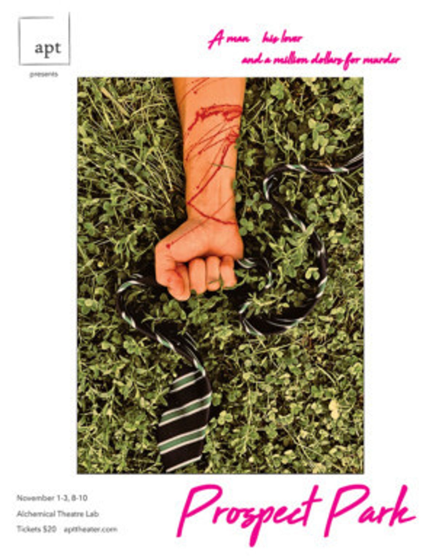 APT Theater Presents New Gay Thriller PROSPECT PARK  Image