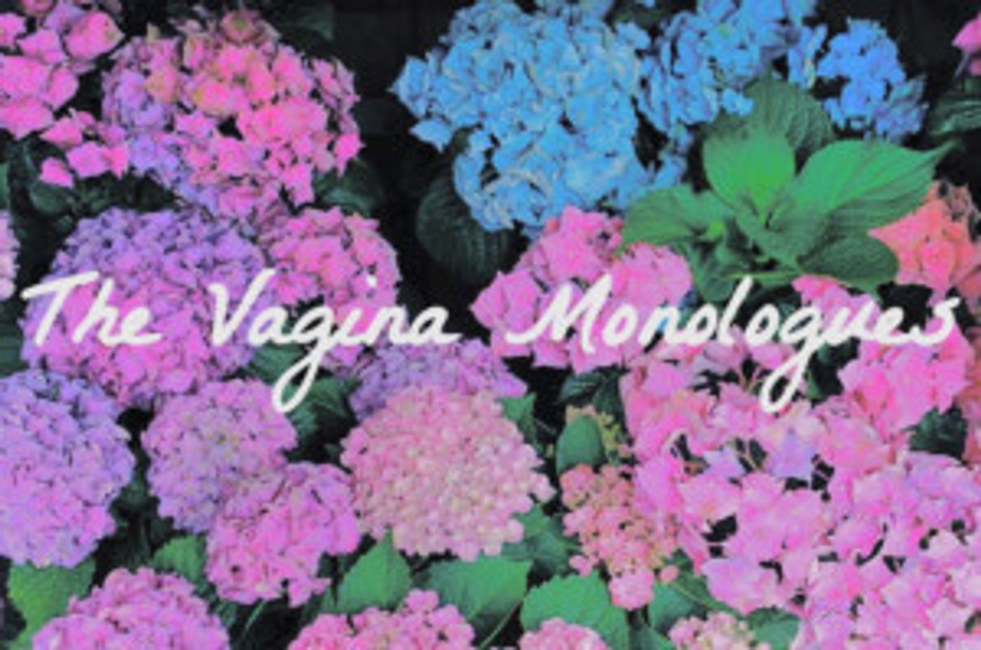 International Cast Of Women To Perform In A Production Of THE VAGINA MONOLOGUES In New York To Raise Funds For Women In Need  Image
