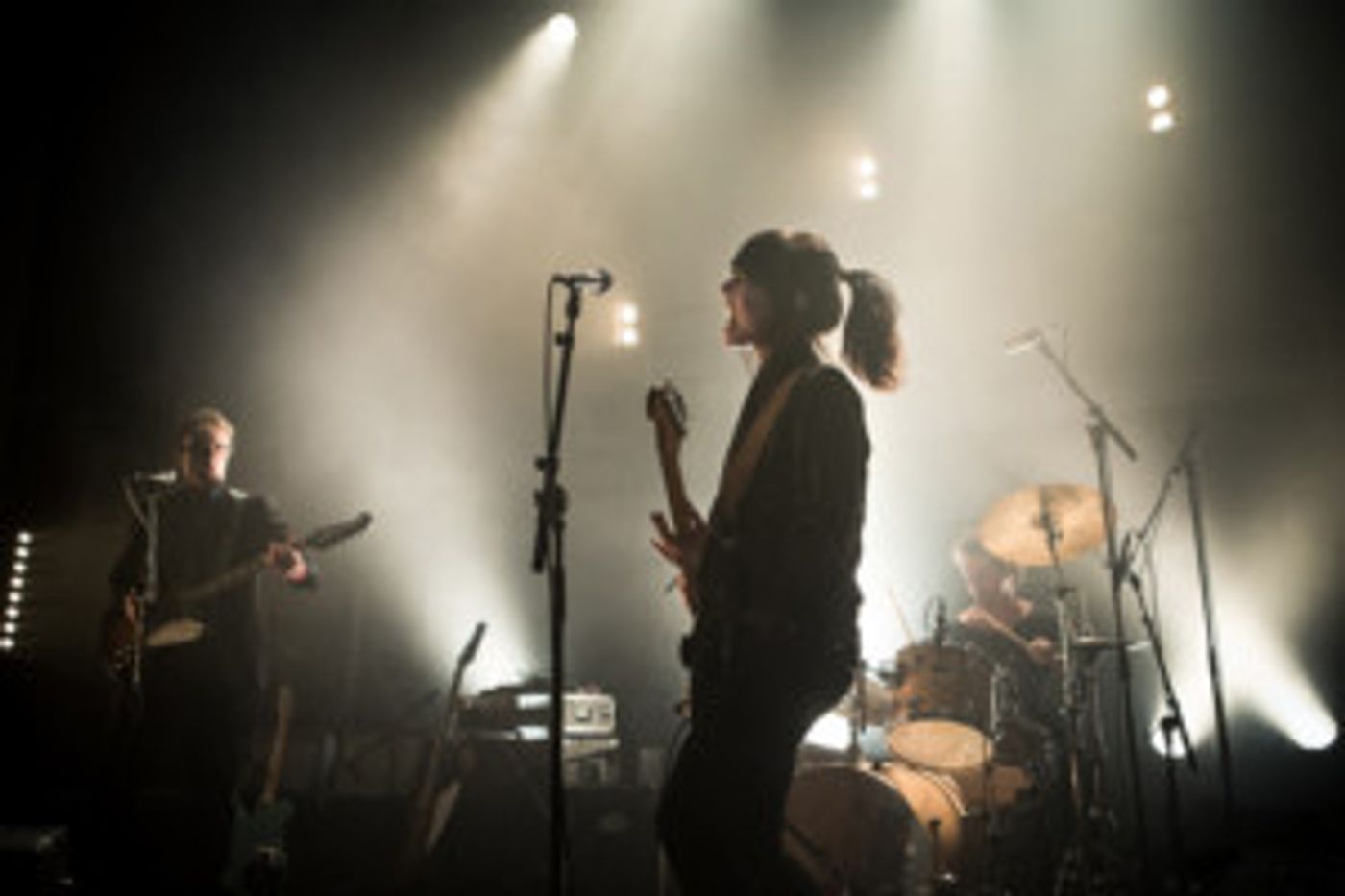 The Neutrinos Celebrate 20 Years  Image