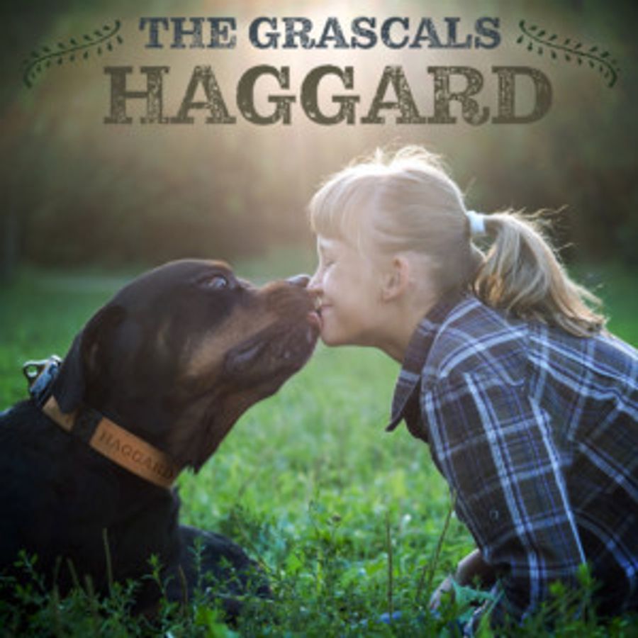 The Grascals Release 'Haggard' A True Story Ballad Of A Family And Their Best Friend Image