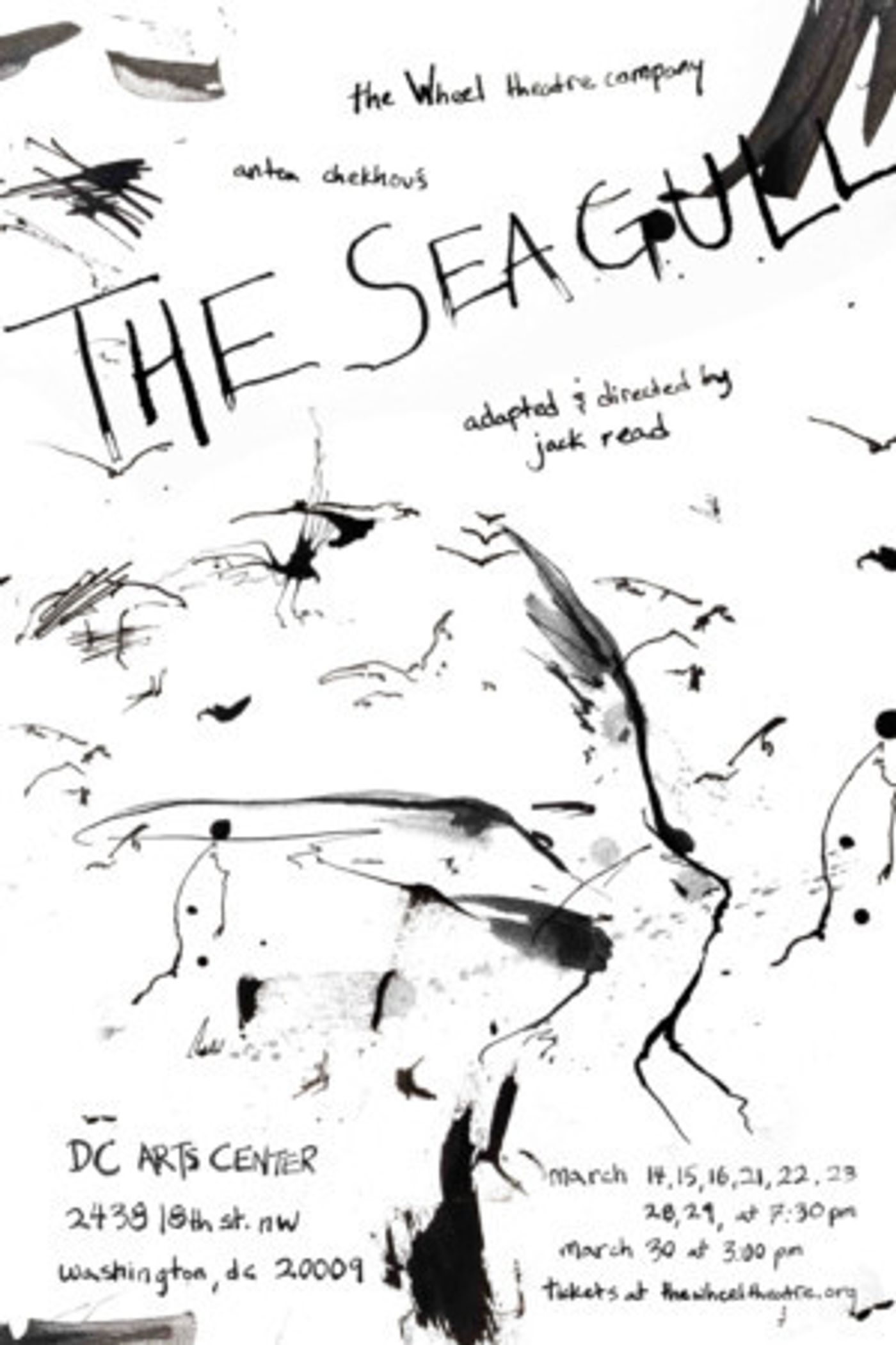 The Wheel Theatre Company Presents A New Adaptation Of Chekhov's THE SEAGULL  Image