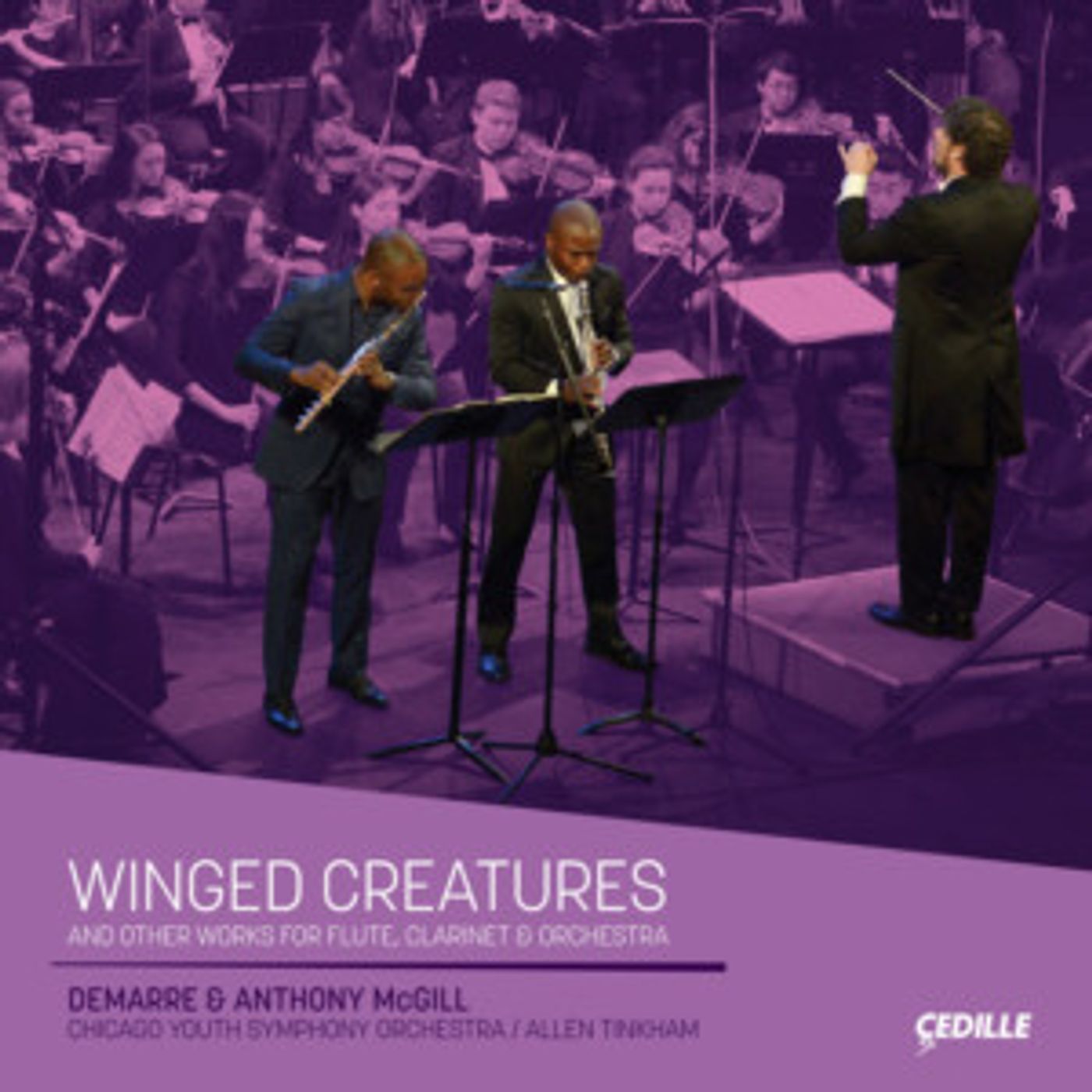 Demarre And Anthony McGill Perform Duo Concertos For Flute, Clarinet On 'Winged Creatures'  Image