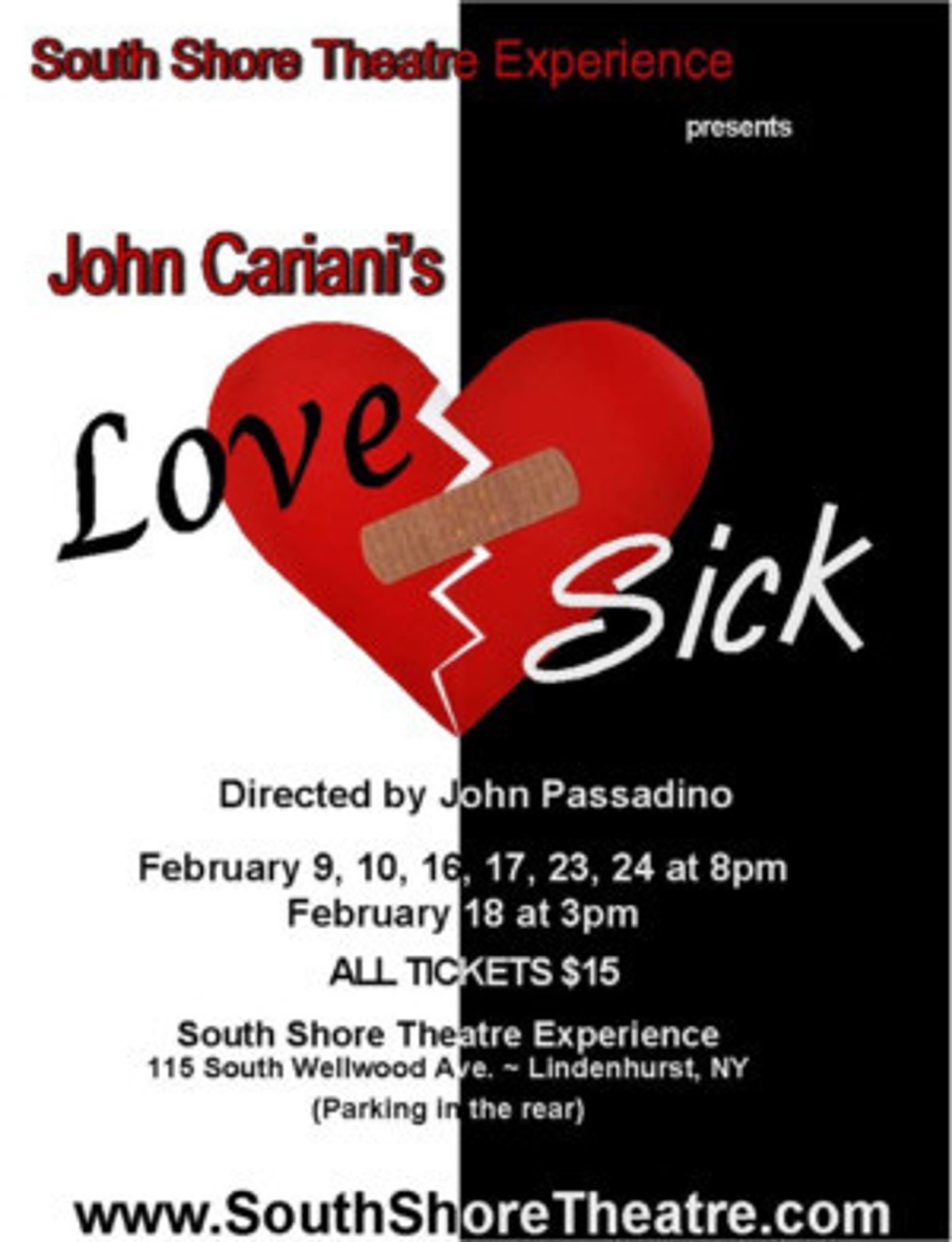 South Shore Theatre Experience Presents LOVE/SICK By John Cariani  Image