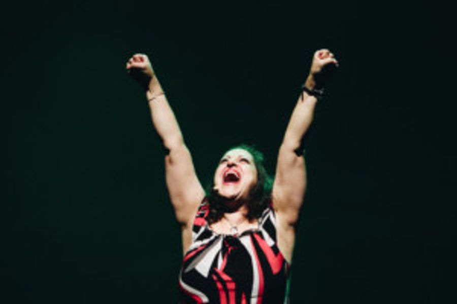 THE PINK HULK Comes to the Grange Hall Cultural Center  Image