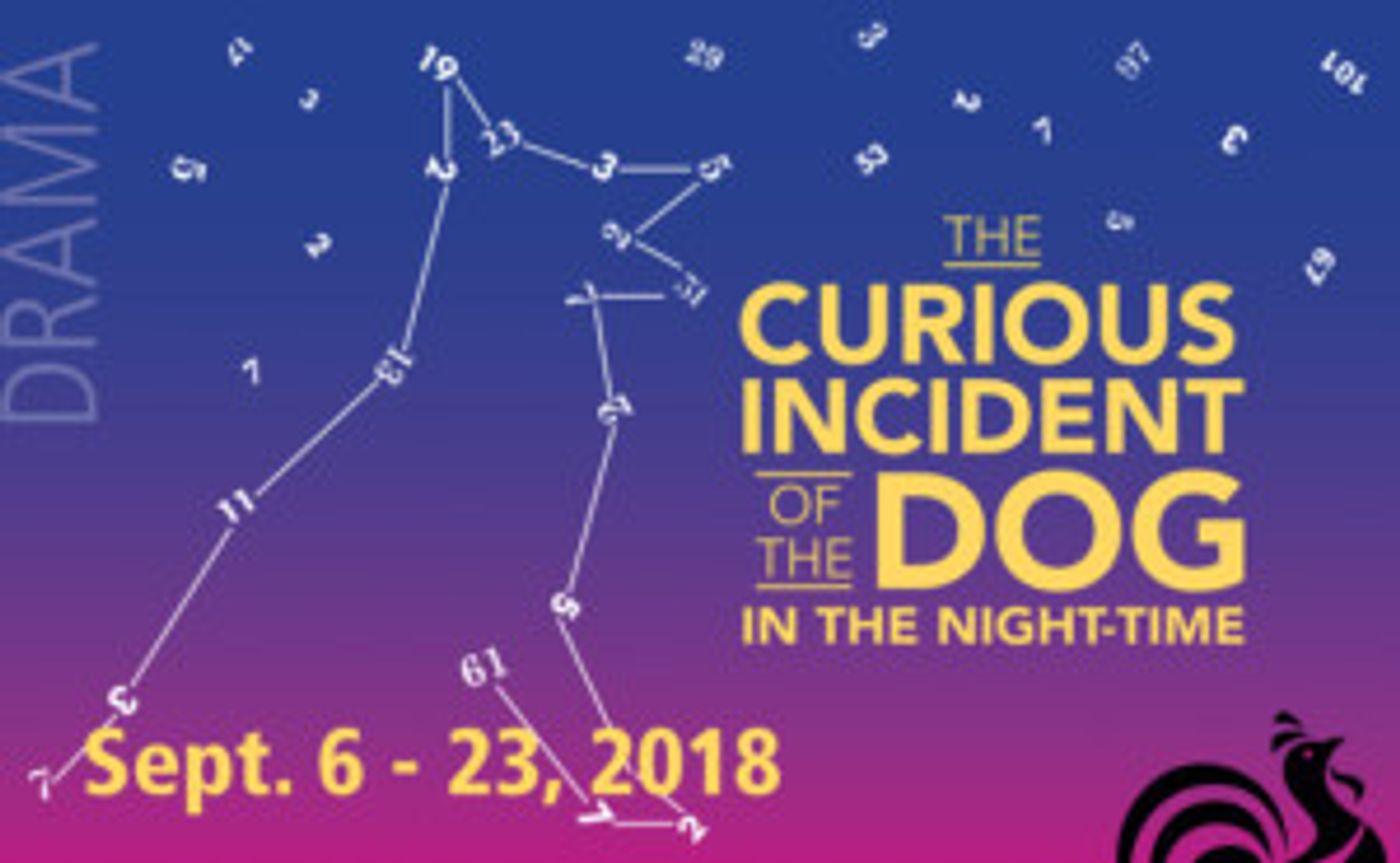 Solve The Mystery of THE CURIOUS INCIDENT OF THE DOG IN THE NIGHT-TIME at Weathervane Playhouse  Image