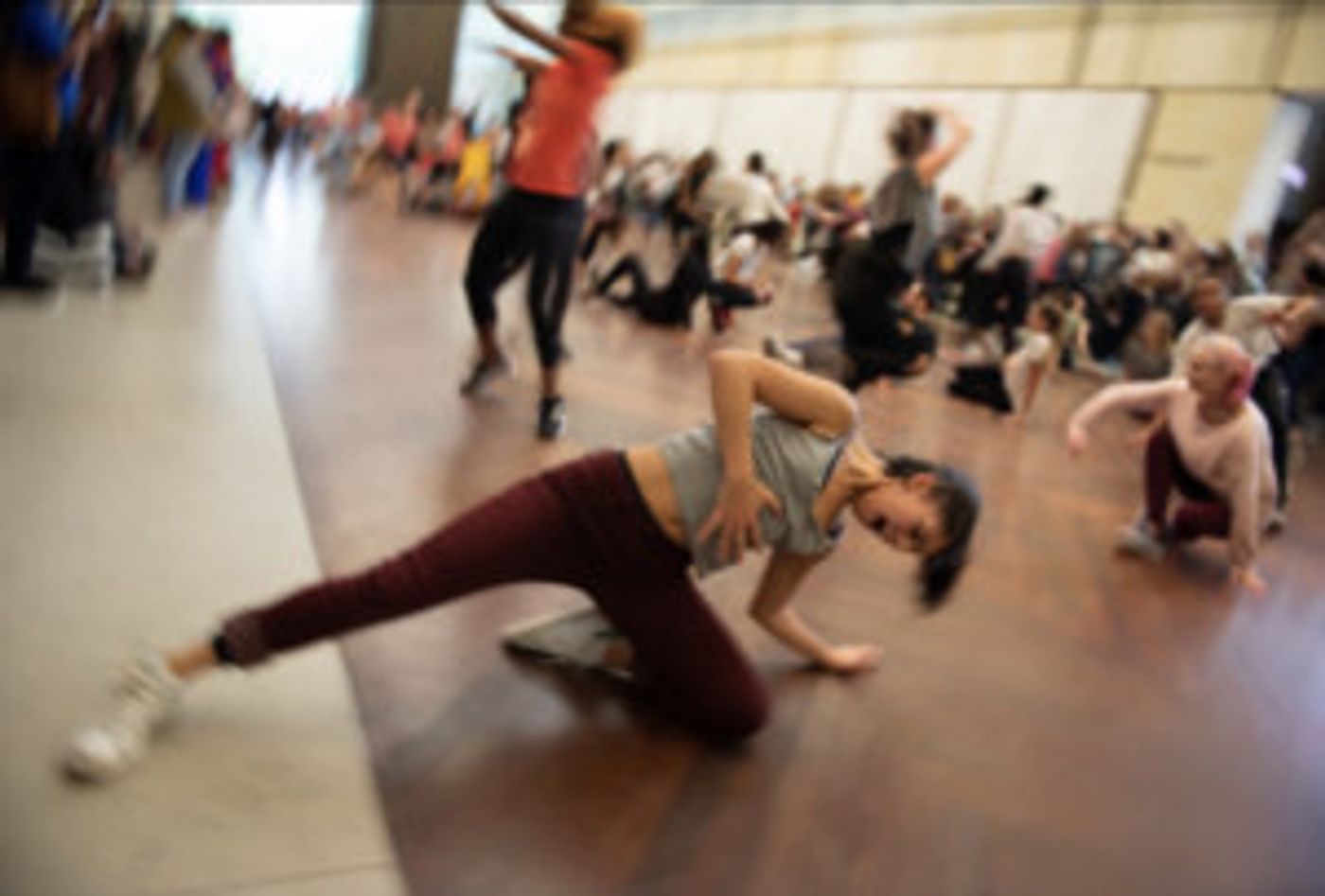 Drexel University's Philadelphia Museum Of Dance Launches Online Exhibition Catalogue  Image