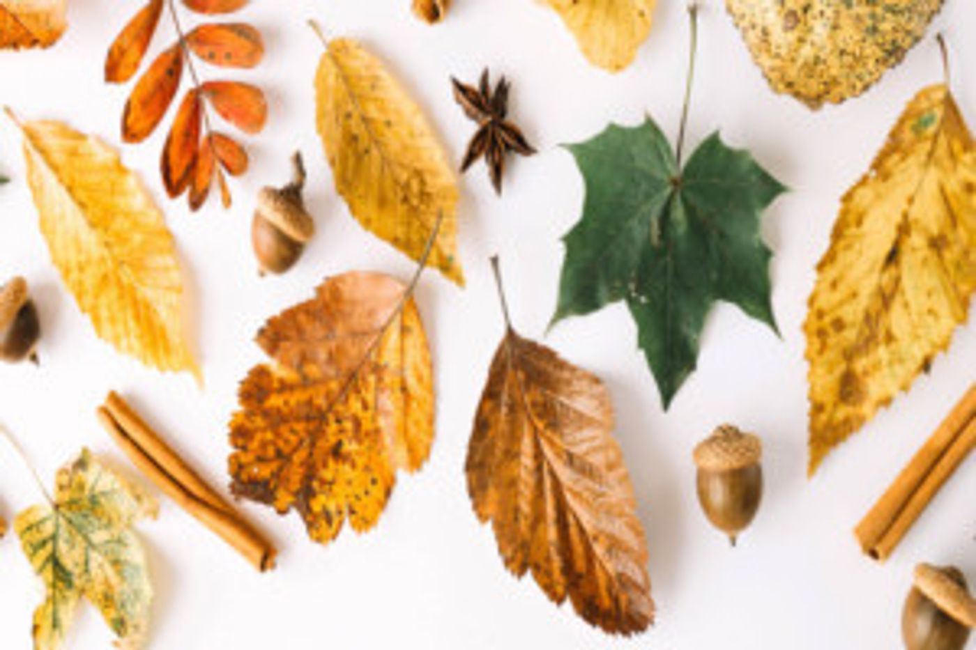 Concrete Timbre and AWCANYC Present First Collaboration Autumn Salon  Image