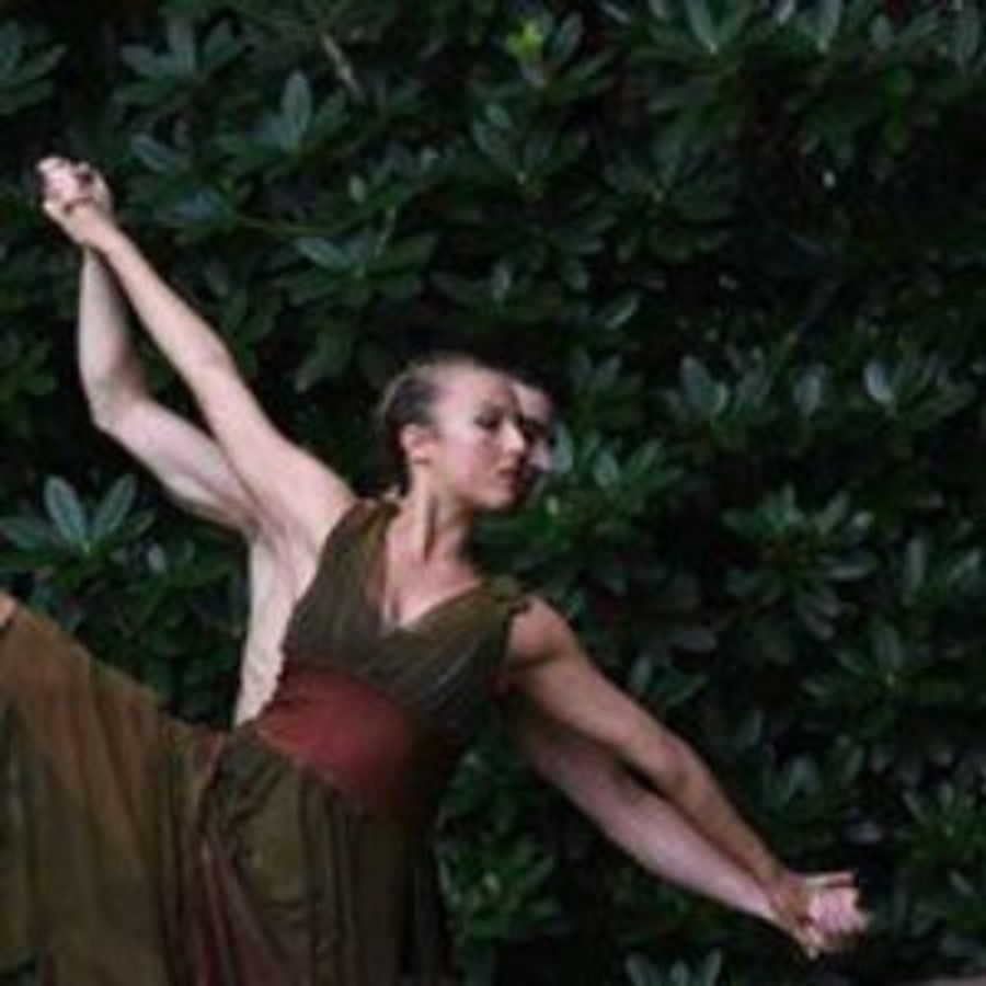 Amanda Selwyn Dance Theater Performed GREEN AFTERNOON VI Image