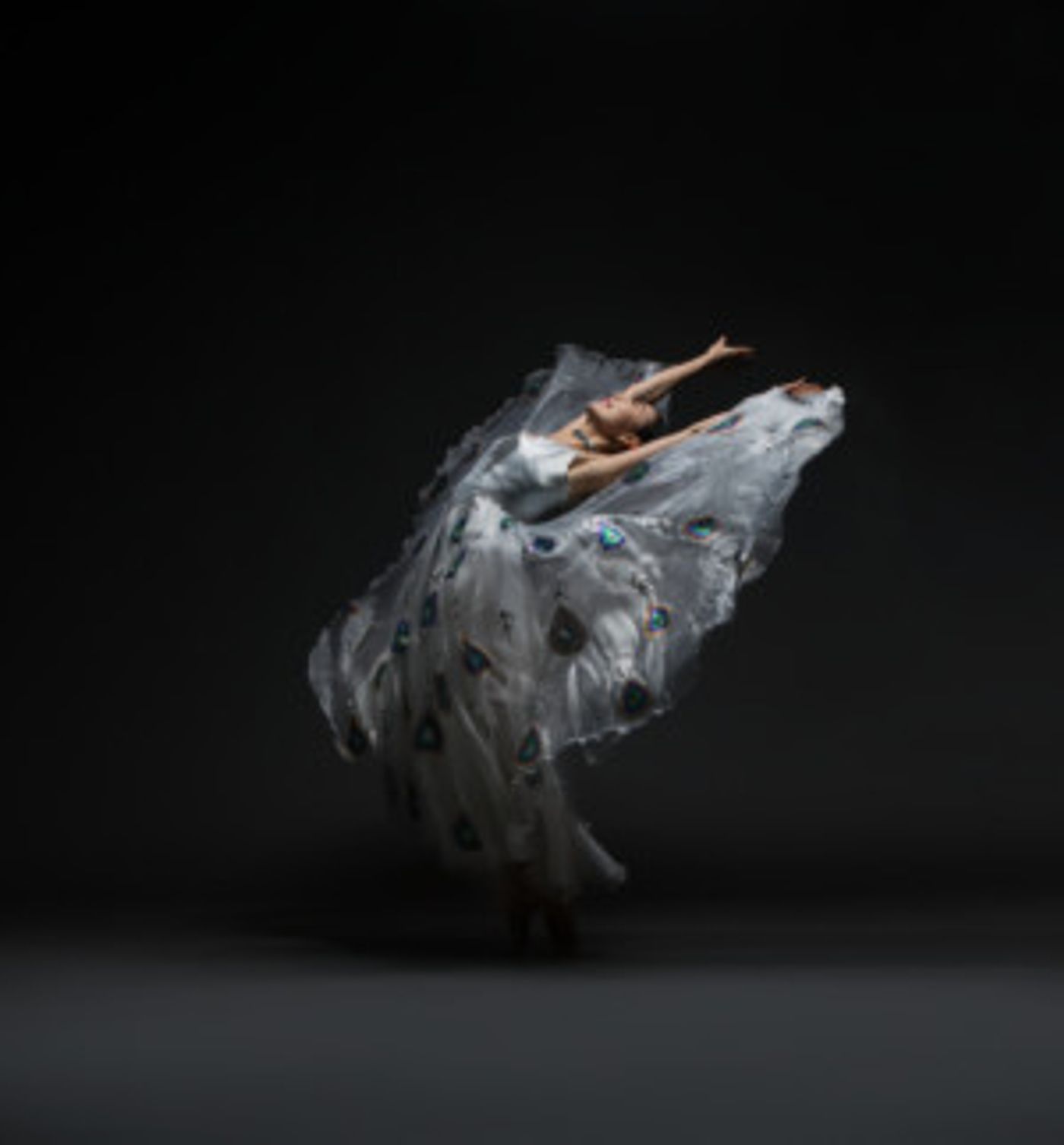Nai-Ni Chen Dance Company To Celebrate The Year Of The Pig at NJPAC 02/02-03, 2019  Image