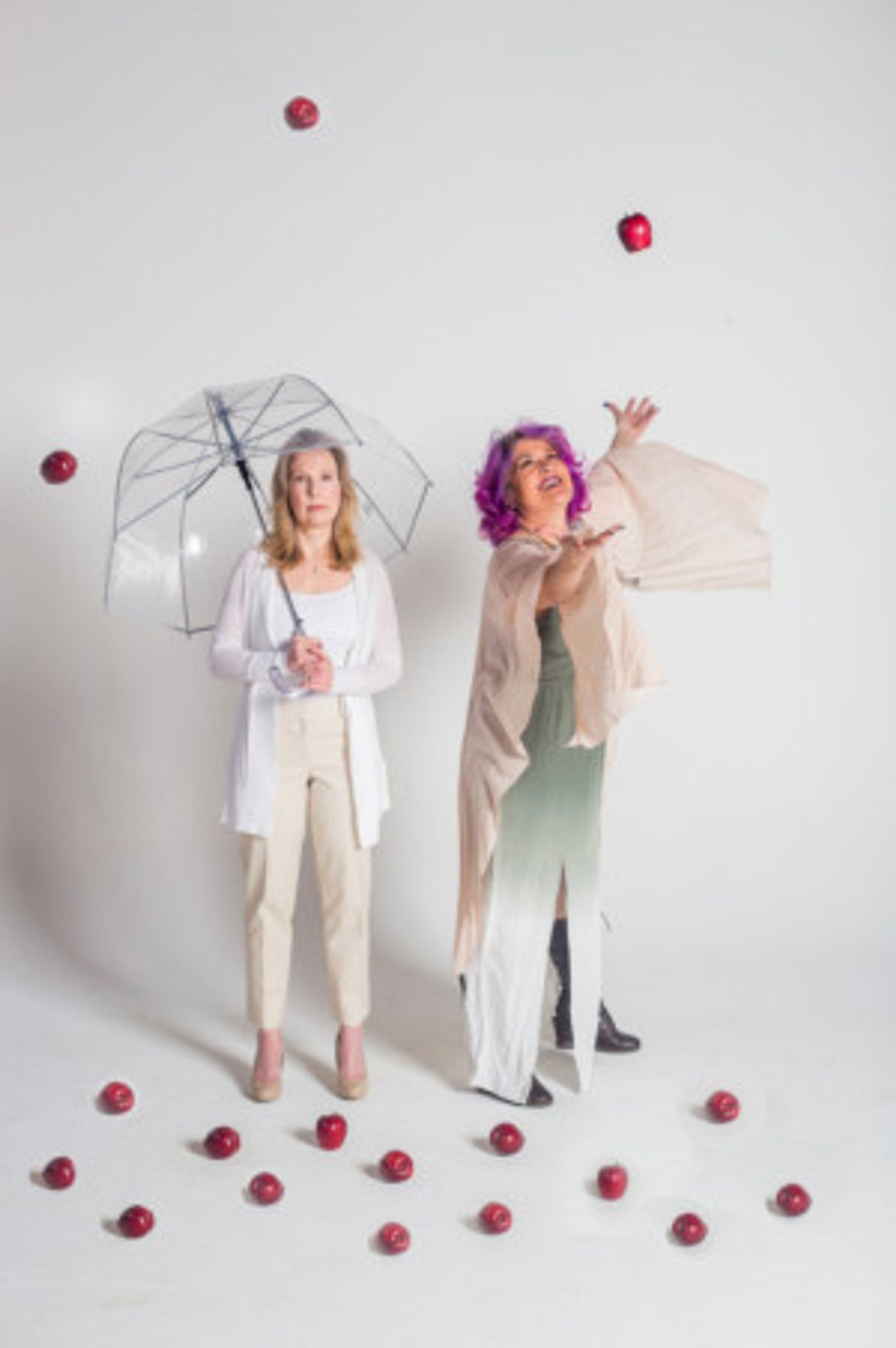 Threshold Stage Company Presents Sarah Ruhl's THE CLEAN HOUSE  Image