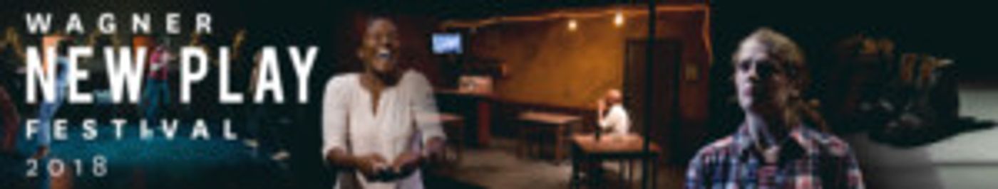 UC San Diego Awards 2018 Gaffney Prize To Eliana Pipes For STAND AND WAIT  Image