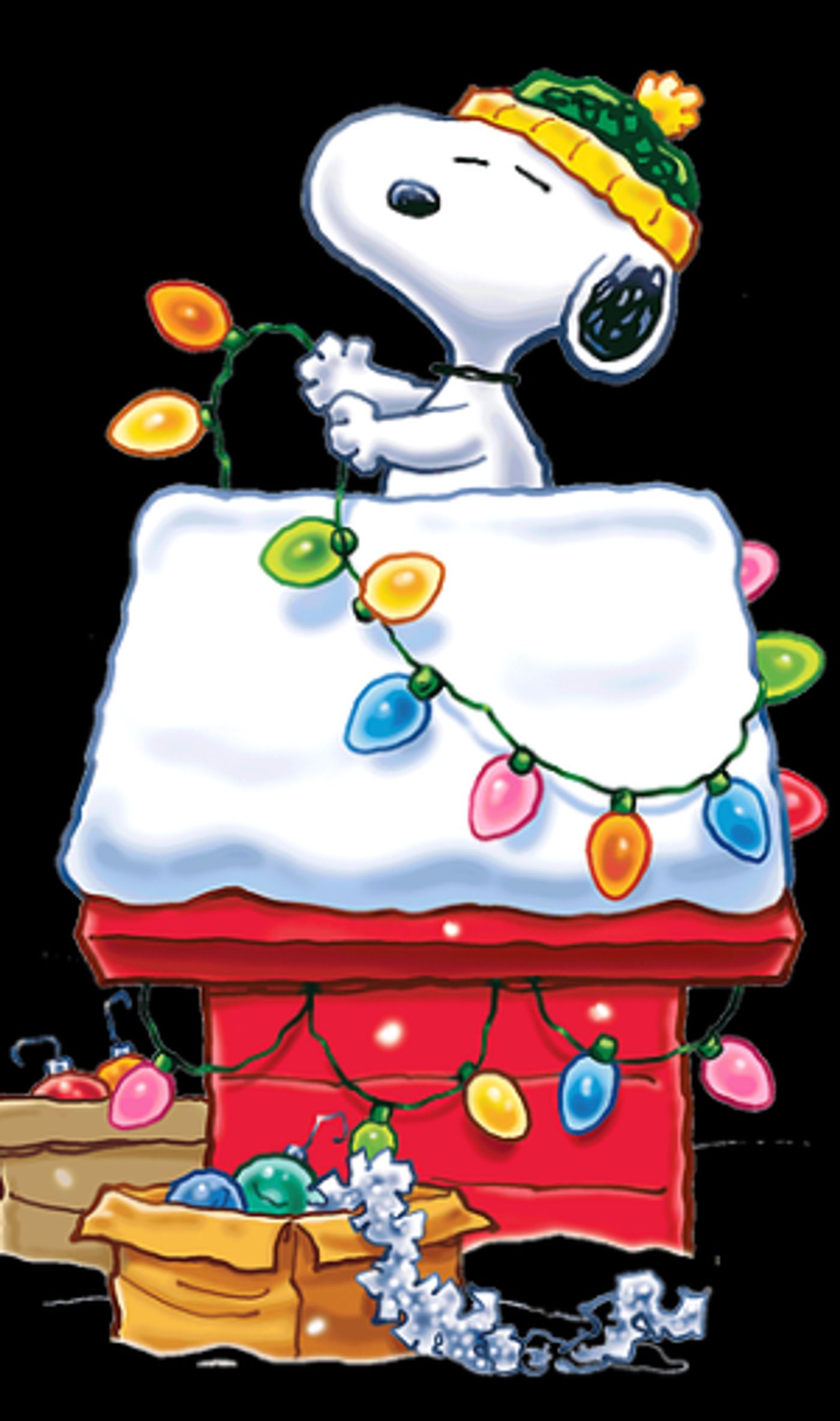 A CHARLIE BROWN CHRISTMAS LIVE ON STAGE Comes to Harris Center  Image