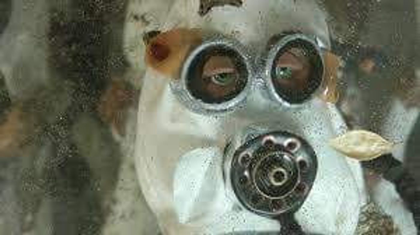 MEETING MACGUFFIN Comes to the 14th Annual LaFemme International Film Festival  Image