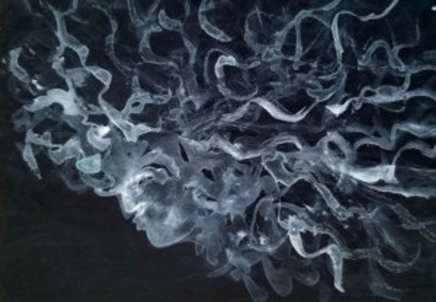 Virago Ensemble Presents THROUGH OUR EYES: A COLLECTION OF ALL THAT WE ARE  Image